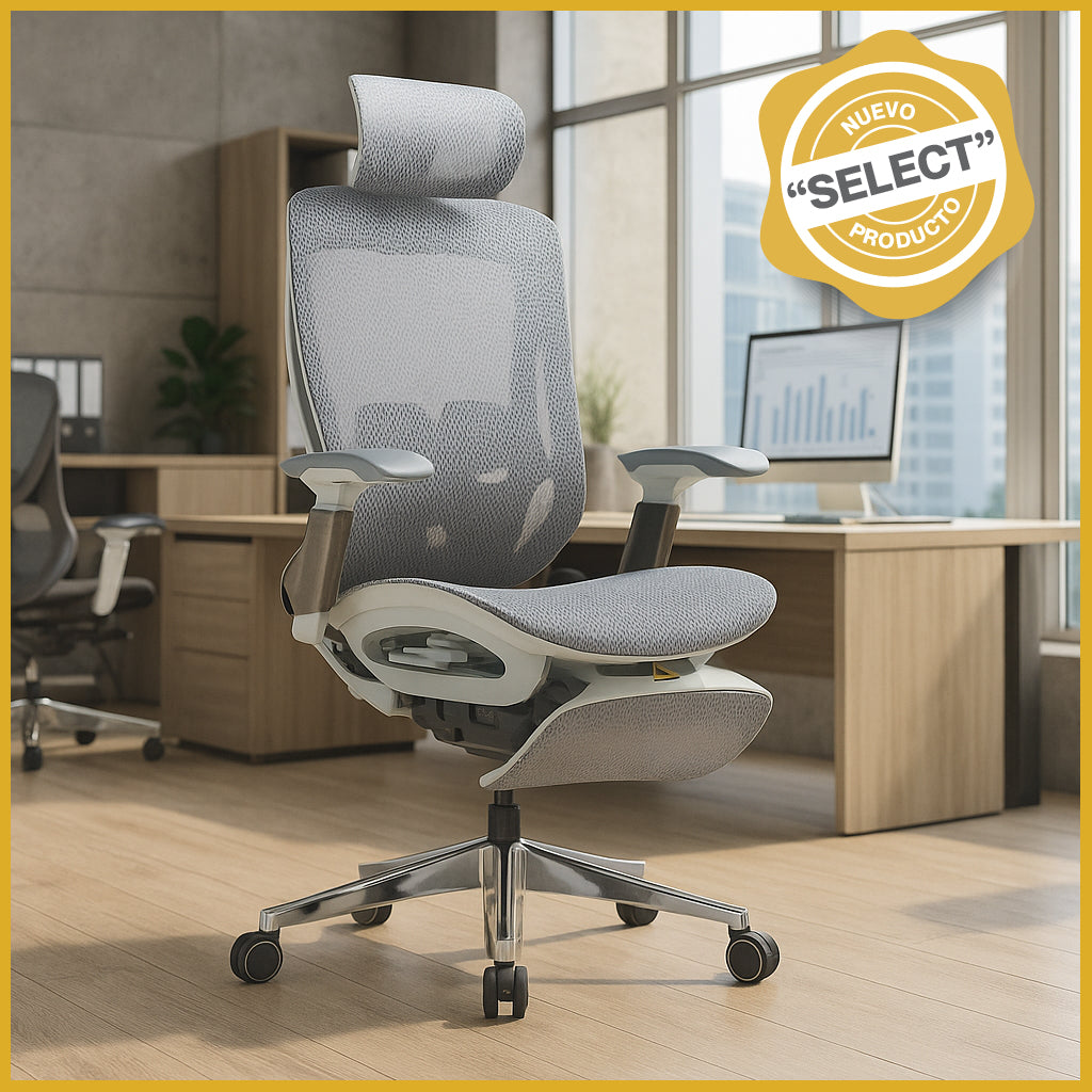 Silla Ejecutiva TH06 Mesh Gris y Descansapiés - Ergonomik silla ejecutiva OFIK