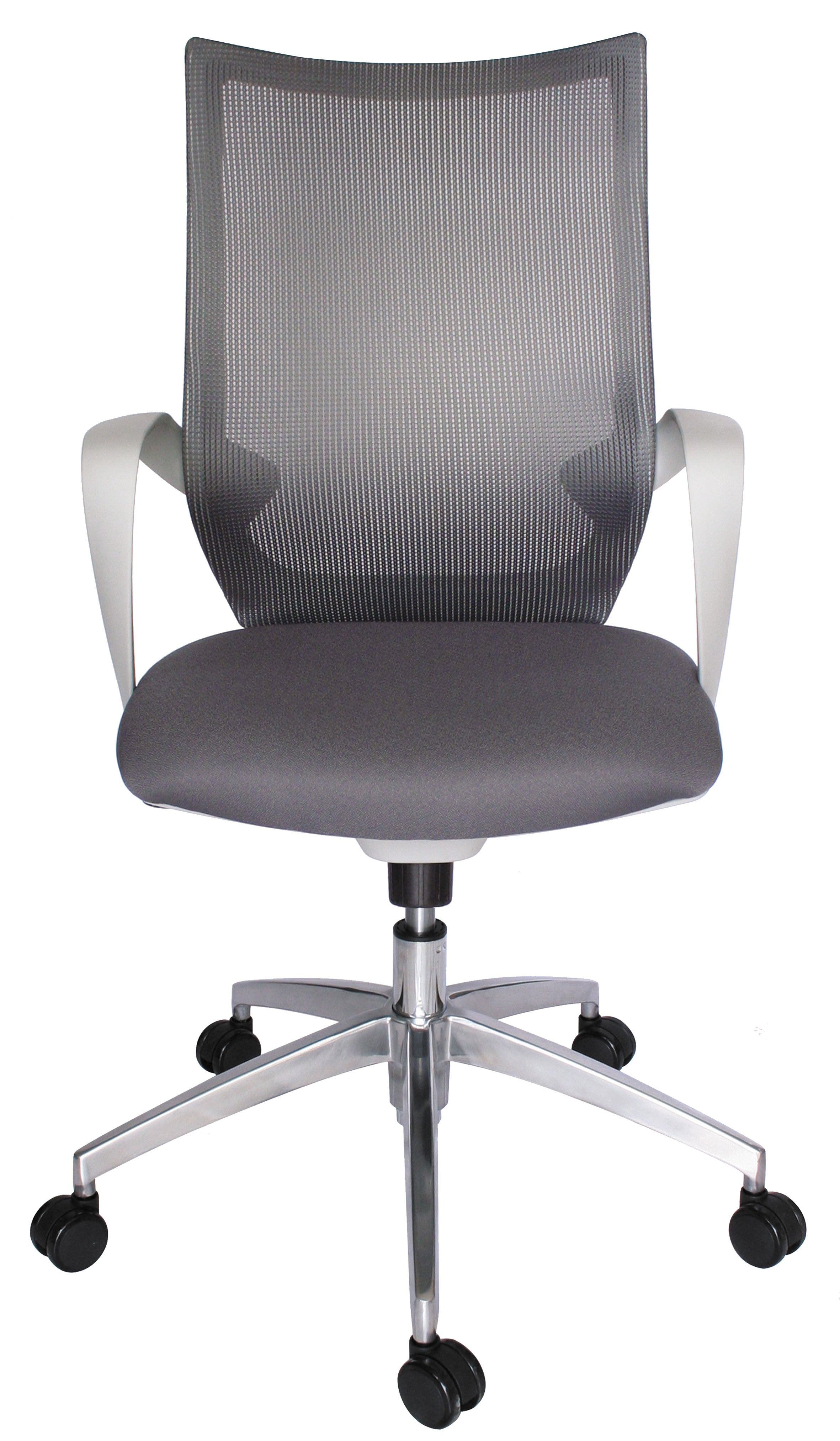 Respaldo ergonómico Silla Equa