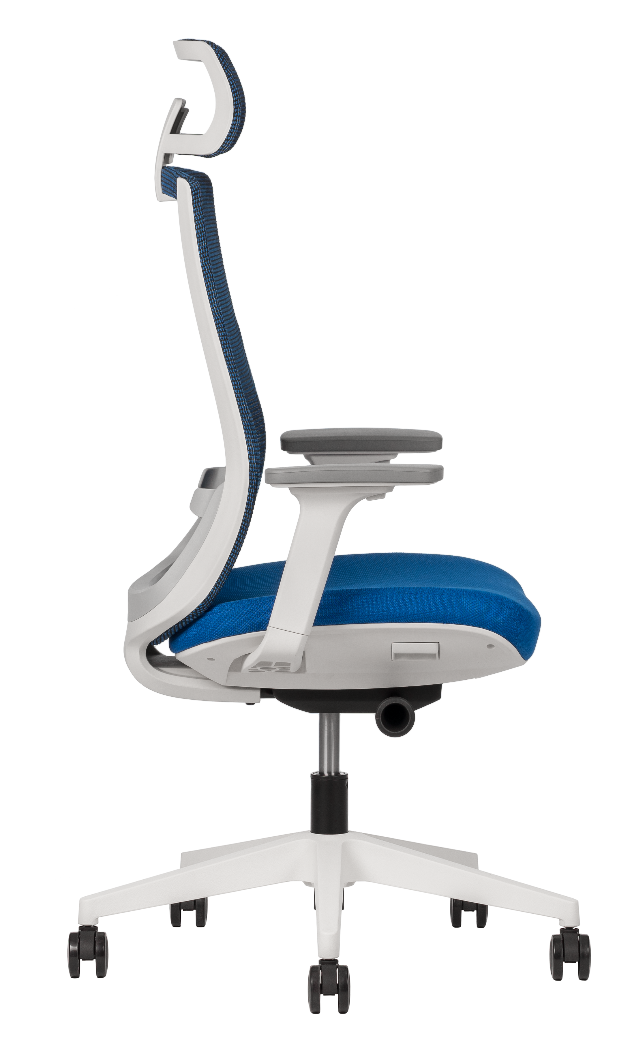 Silla Polar con soporte lumbar