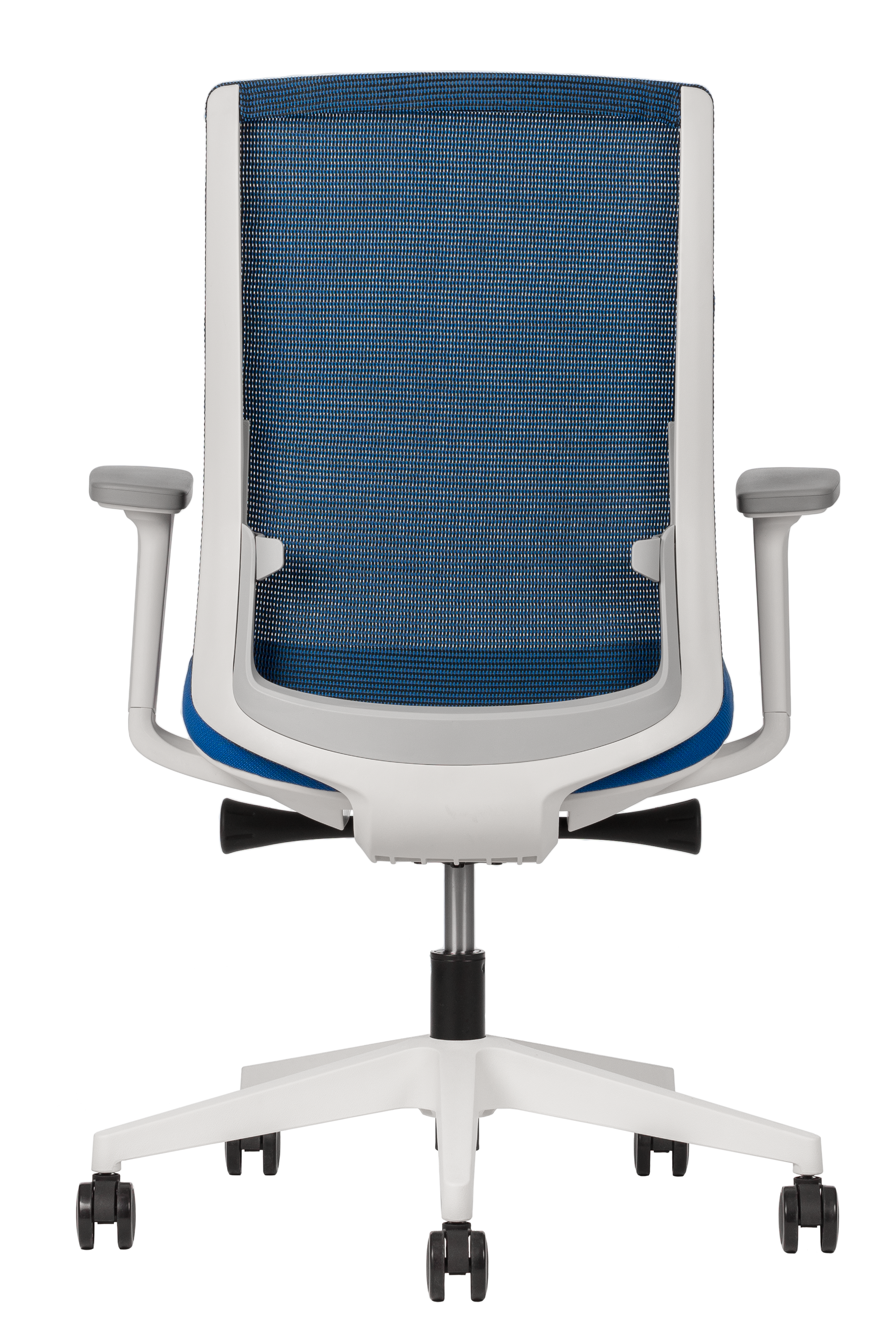 Silla Polar vista frontal