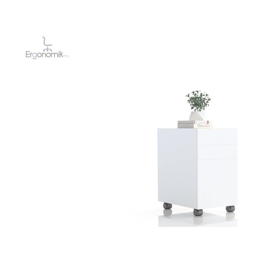 Archivero Móvil Metálico - Ergonomik muebles Office Class