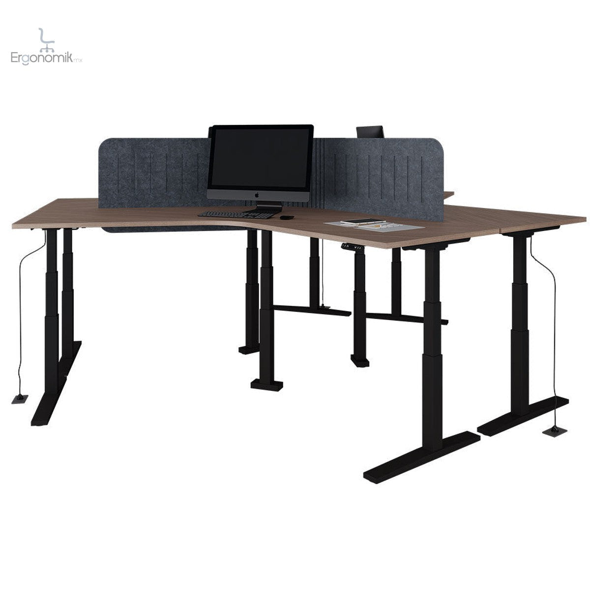 Escritorio Ascend Semi Ejecutivo Bumeran altura ajustable - Ergonomik escritorio Office Class