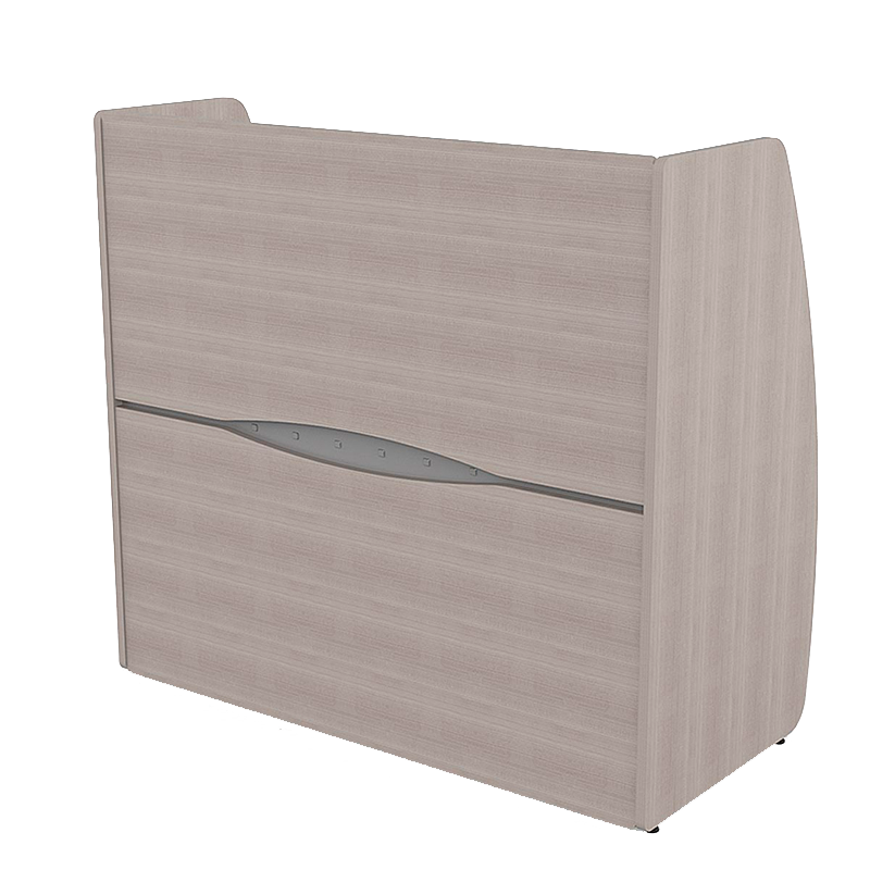 Vista frontal de Recepción Privacía 221