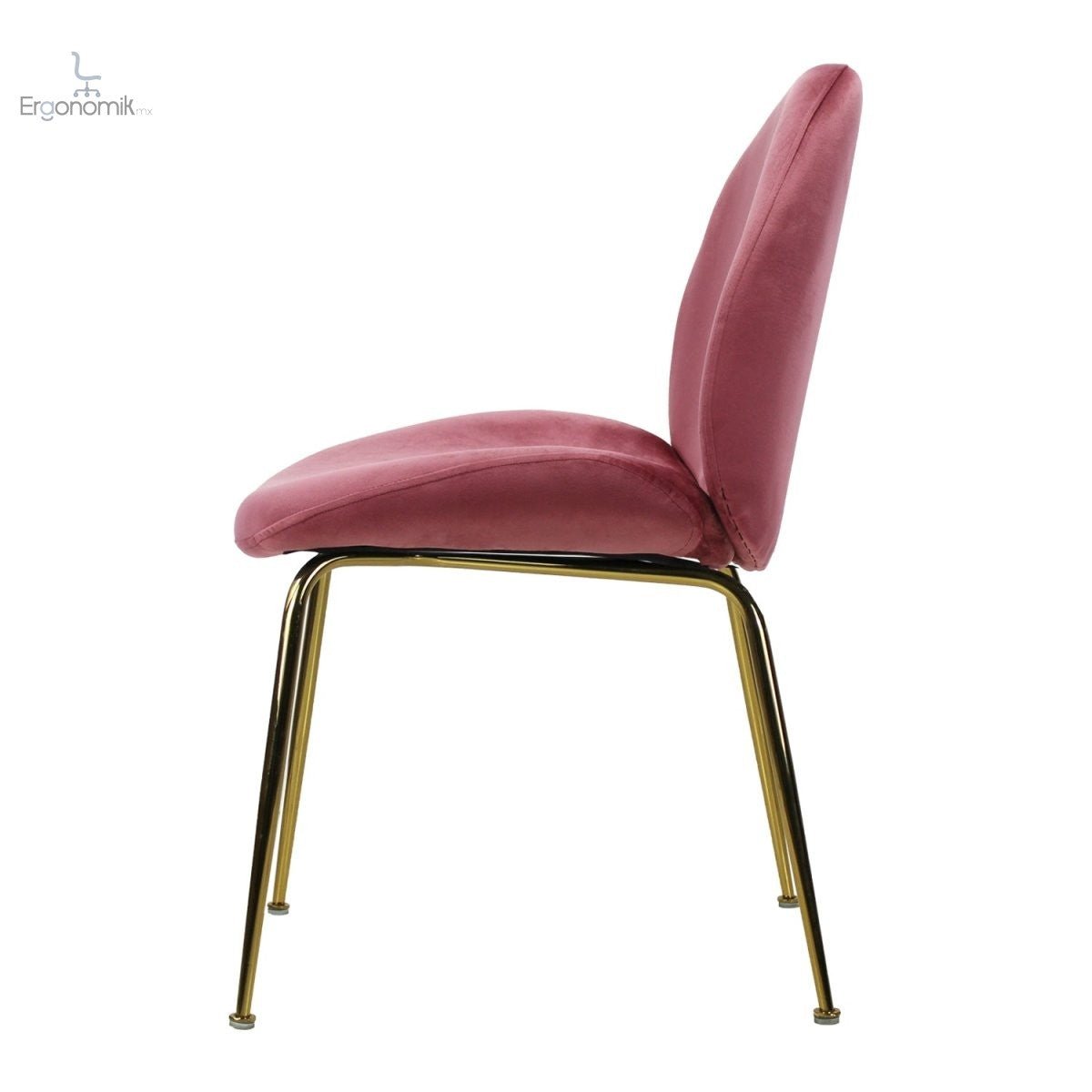 Silla de Visita Treviso - Ergonomik silla visita MBK