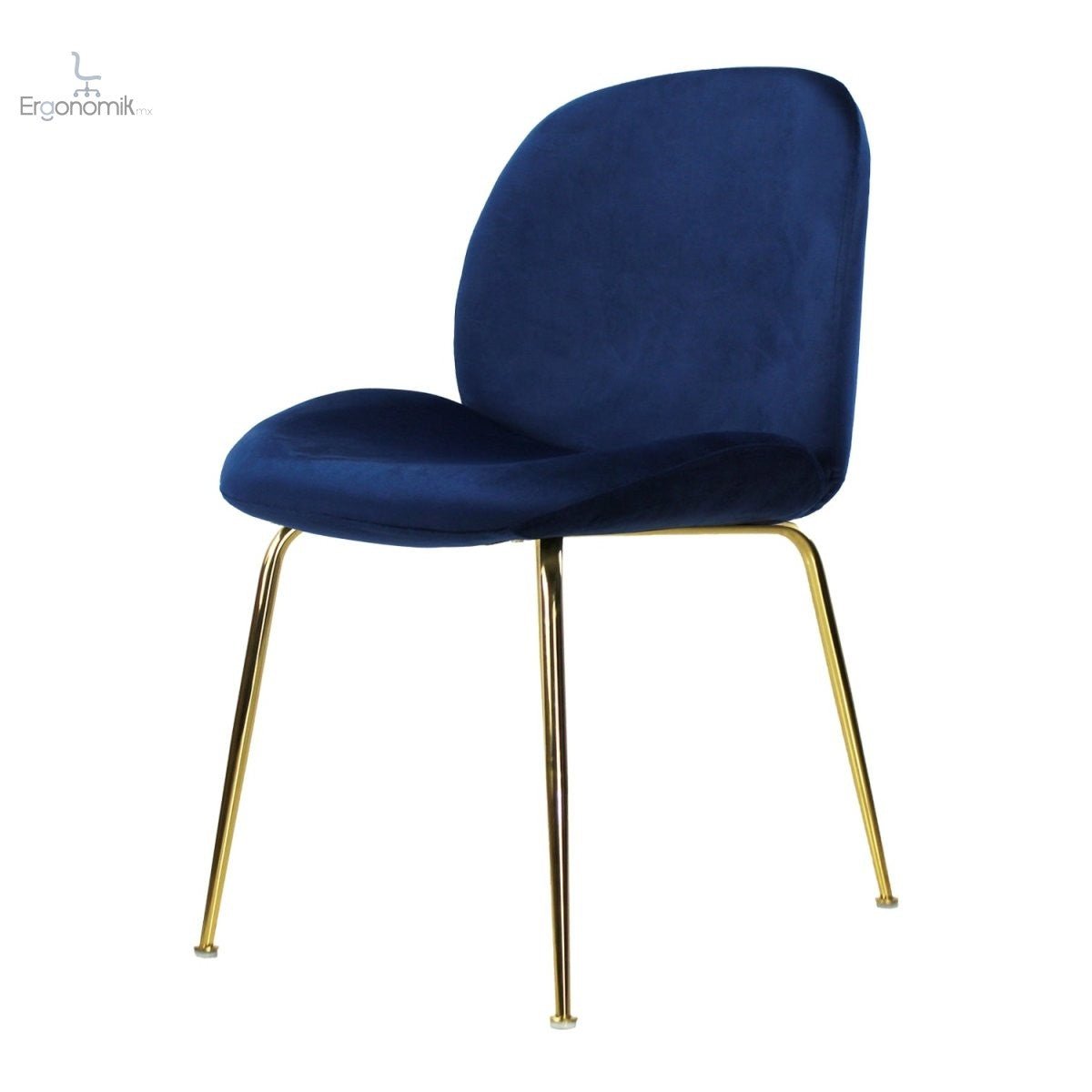 Silla de Visita Treviso - Ergonomik silla visita MBK