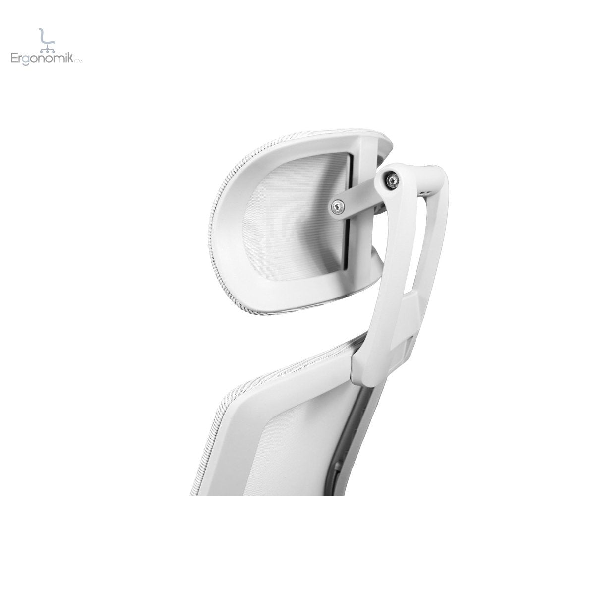 Silla Directiva Alfa - Ergonomik silla de oficina MEM