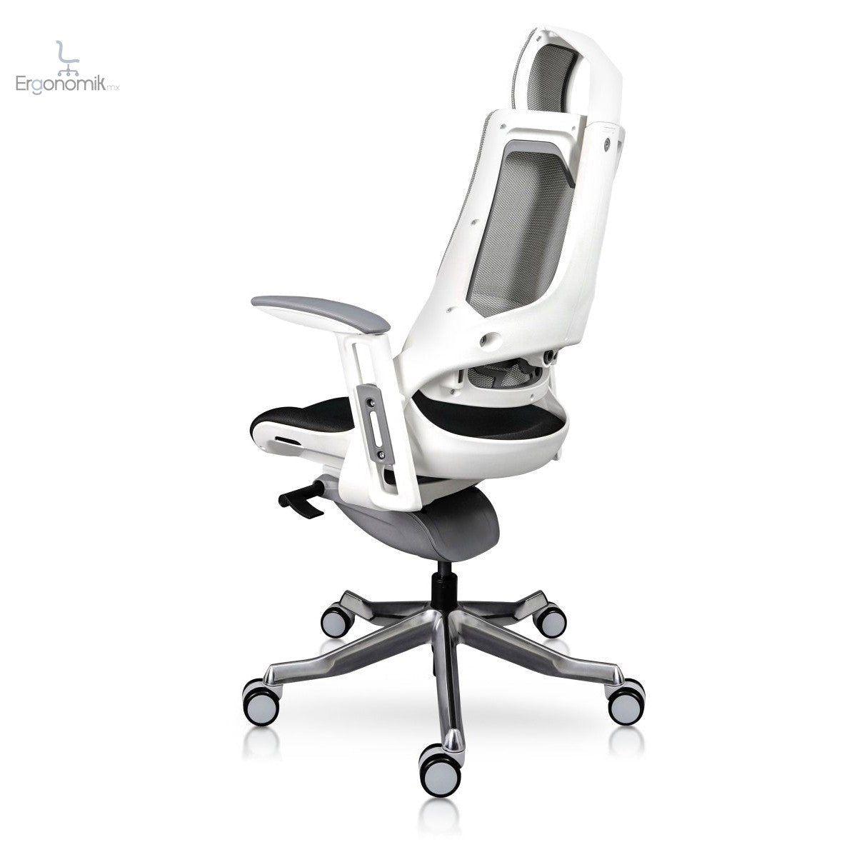 Silla Directiva Madagascar - Ergonomik silla directiva MEM