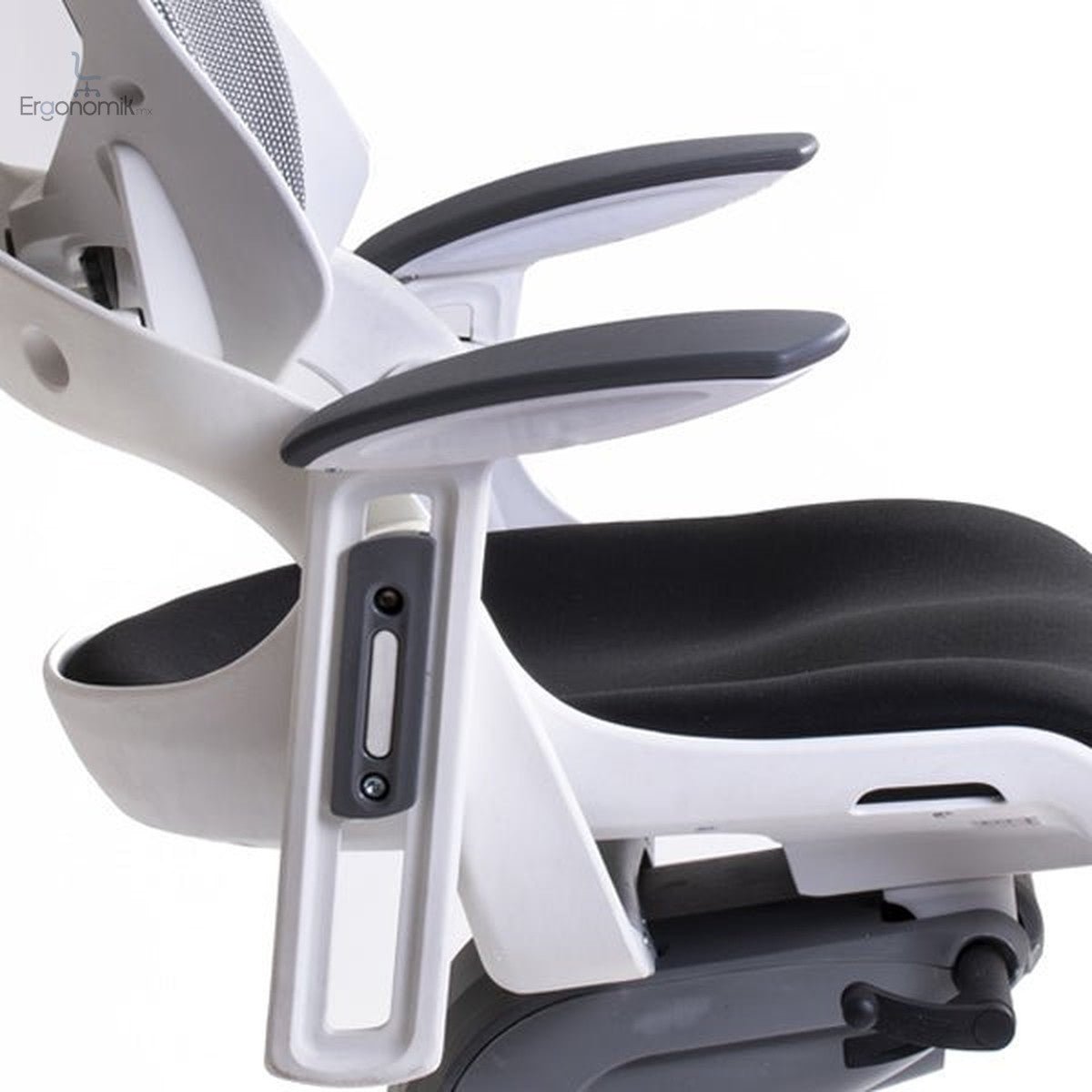 Silla Directiva Madagascar - Ergonomik silla directiva MEM