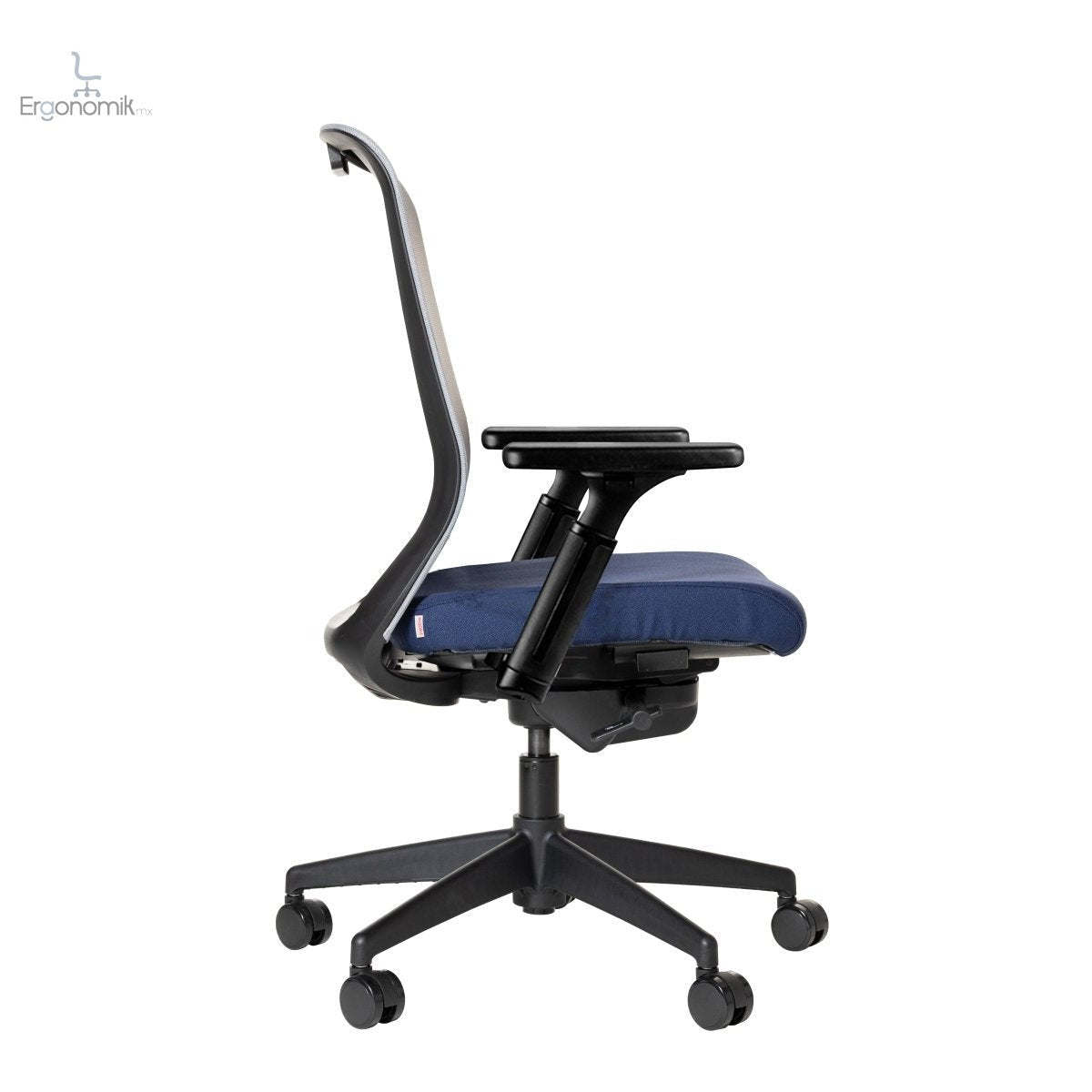 Silla Ejecutiva Apolo - Ergonomik silla de oficina Requiez