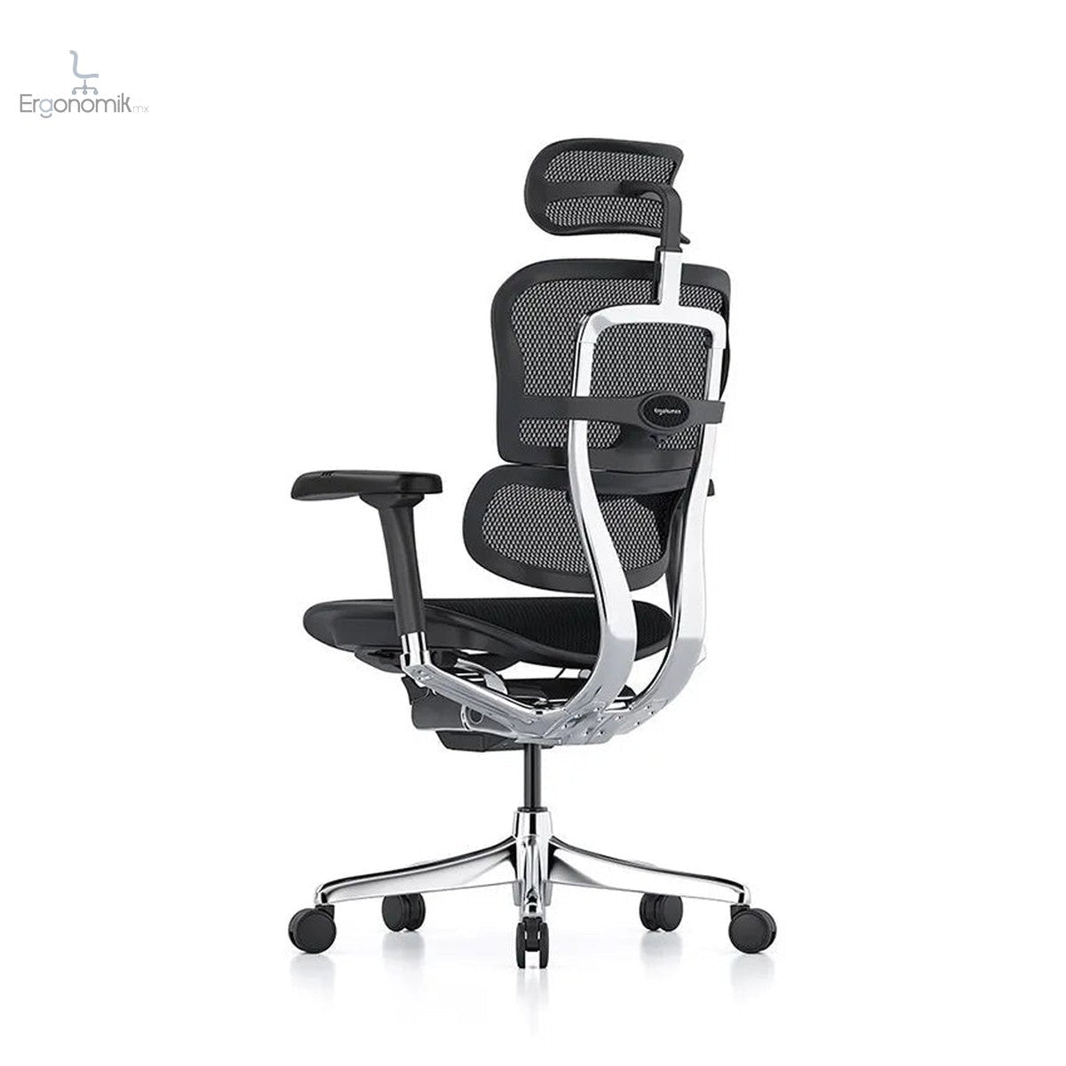 Silla Ejecutiva Ergohuman - Ergonomik silla de oficina Requiez