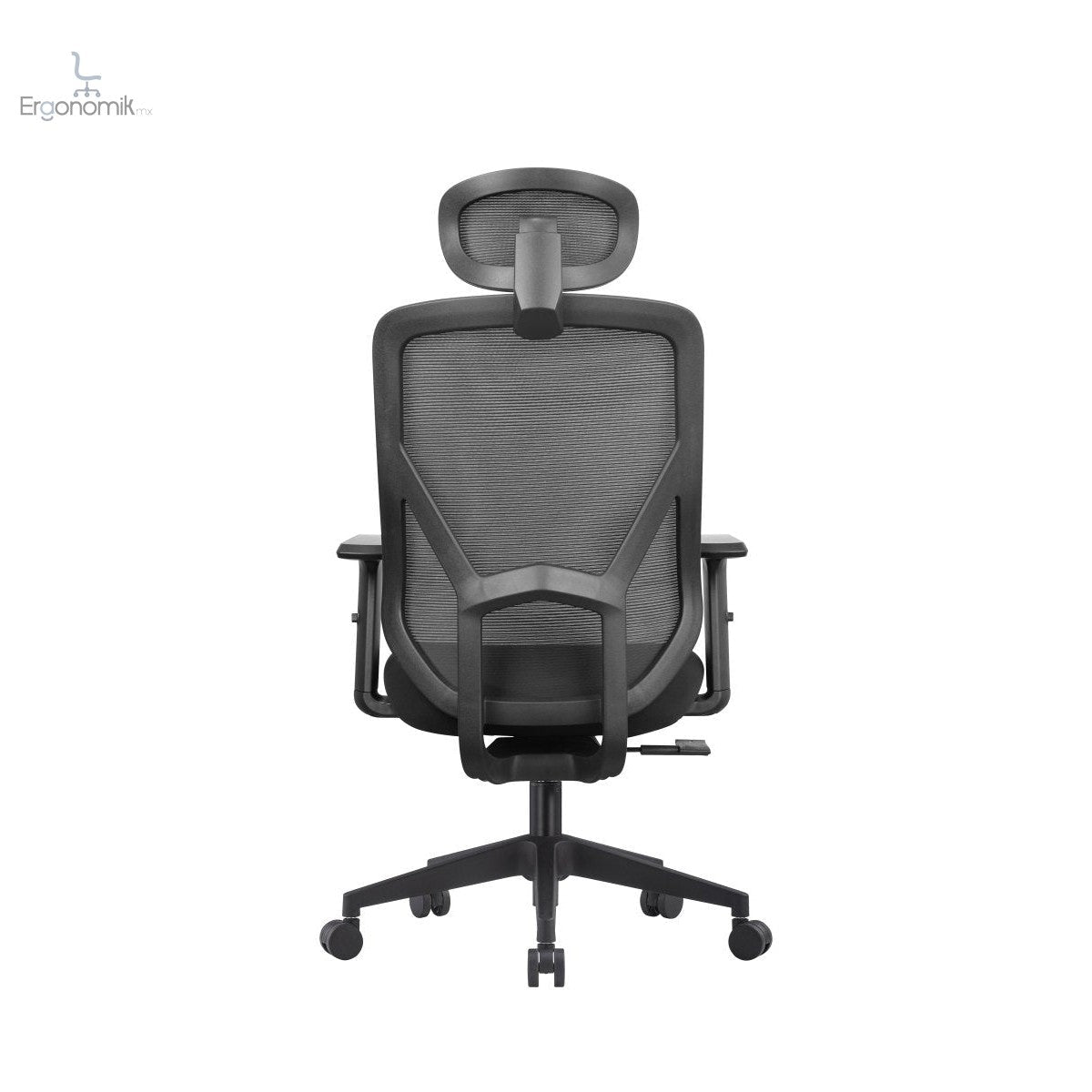 Silla Ejecutiva Leon - Ergonomik silla de oficina MEM