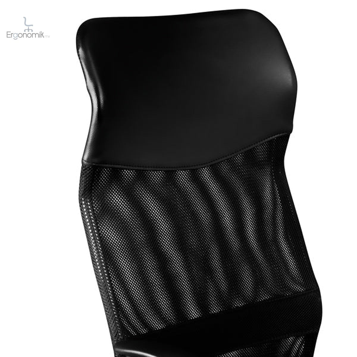 Silla Ejecutiva W17 - Ergonomik silla MEM