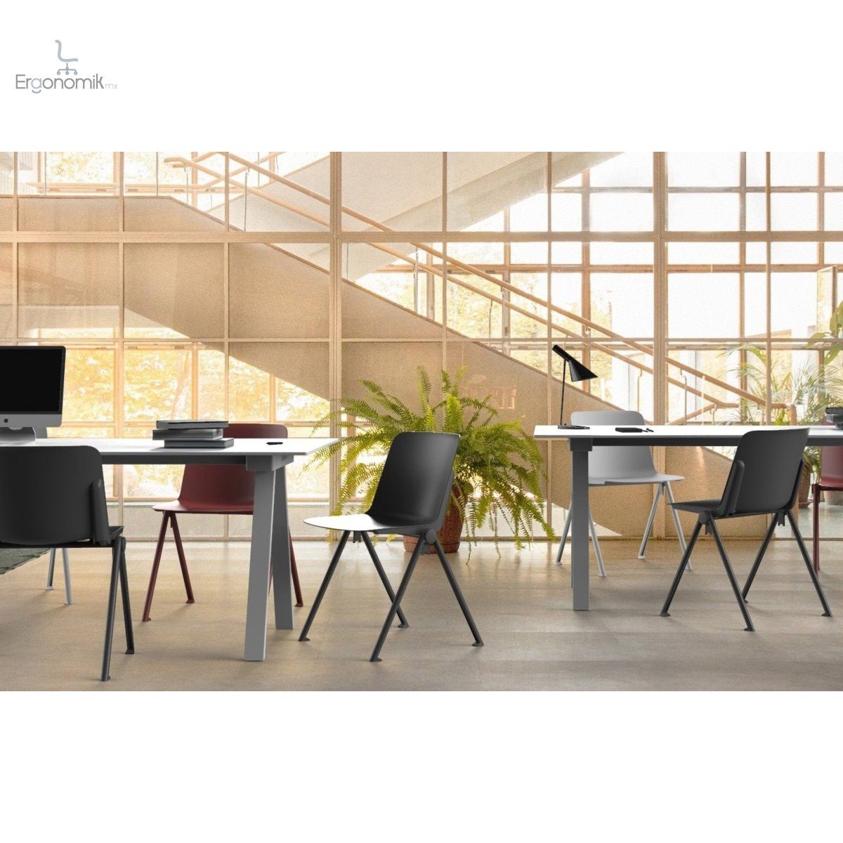 Silla Plus - Ergonomik silla de visita OFFIHO