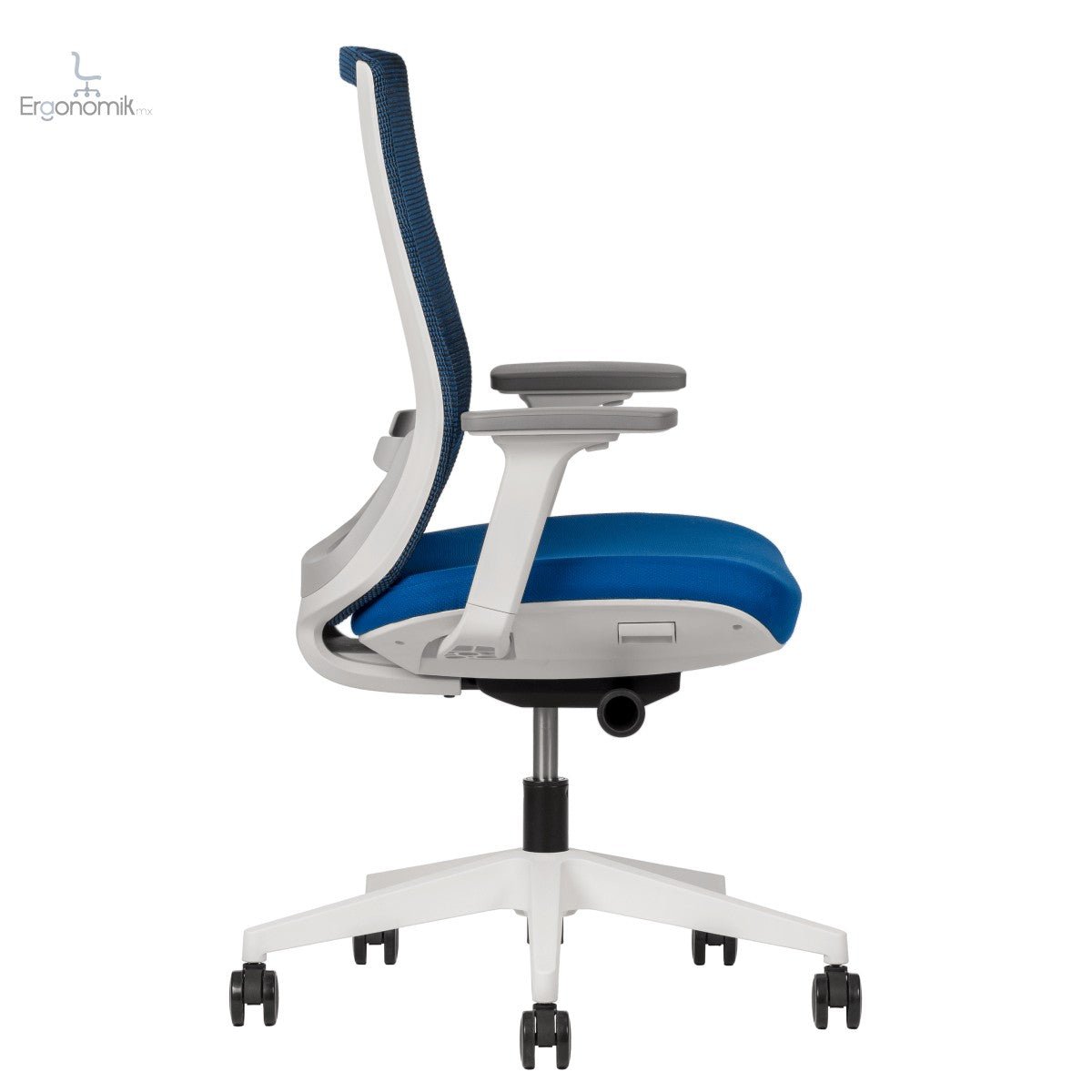 Silla Polar - Ergonomik silla ergonomica Office Class