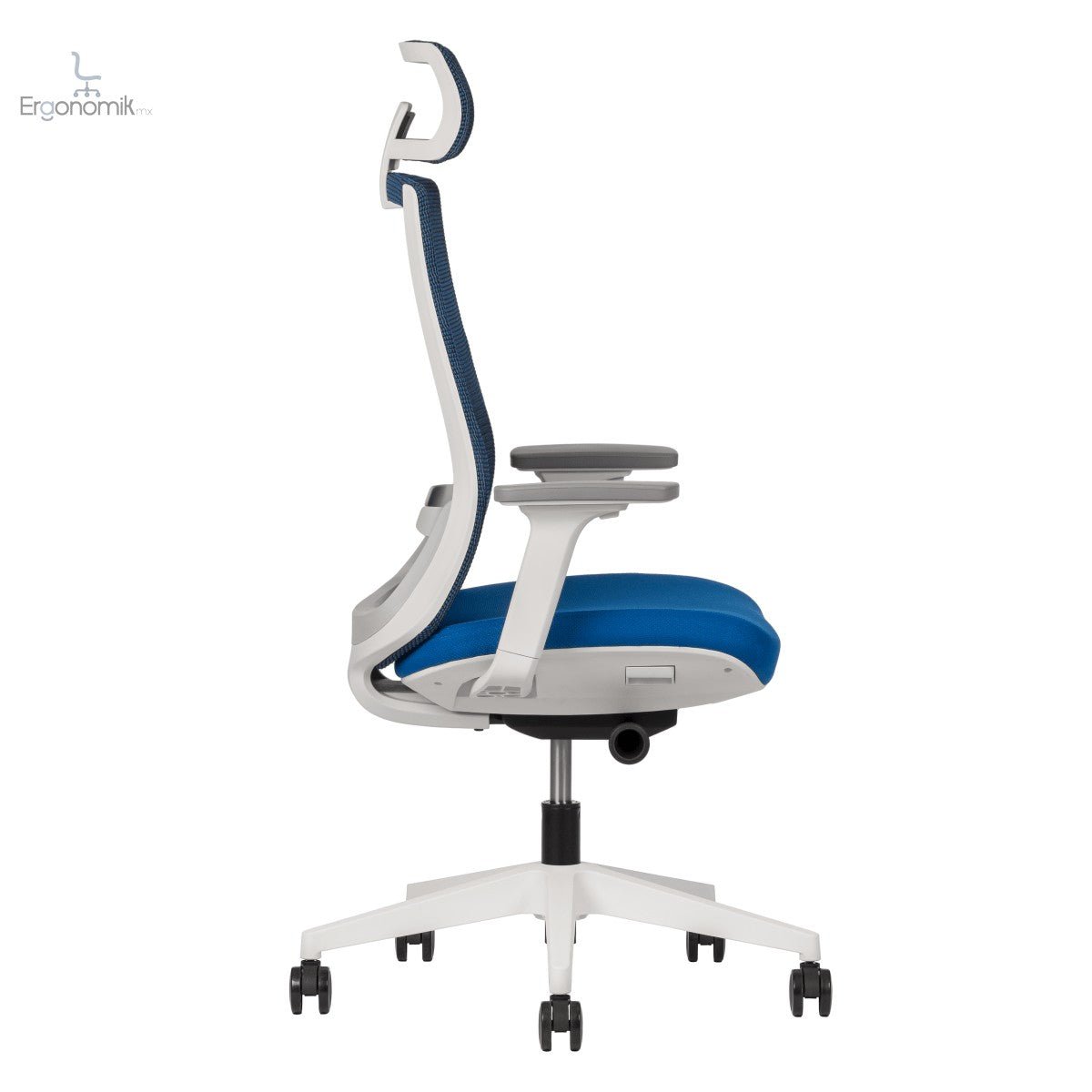 Silla Polar - Ergonomik silla ergonomica Office Class