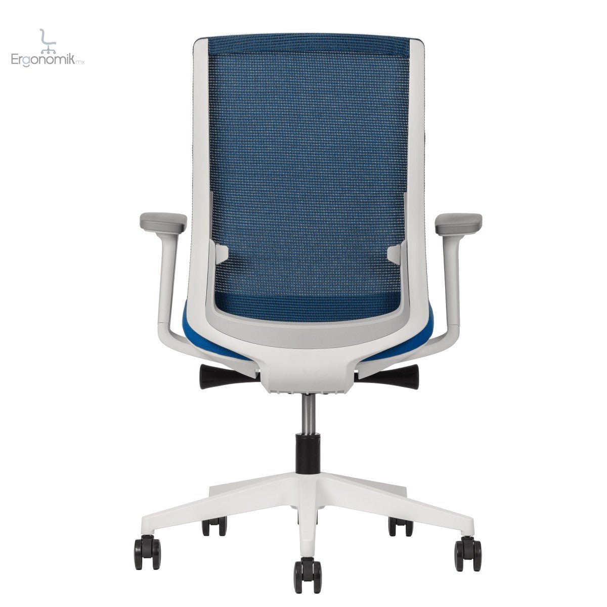 Silla Polar - Ergonomik silla ergonomica Office Class