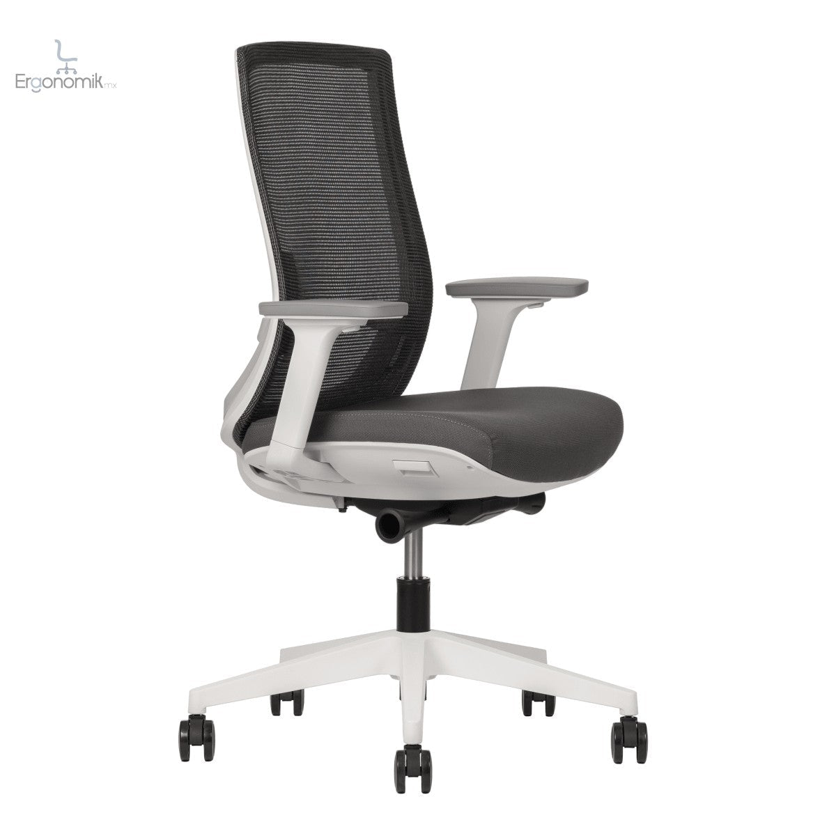 Silla Polar - Ergonomik silla ergonomica Office Class