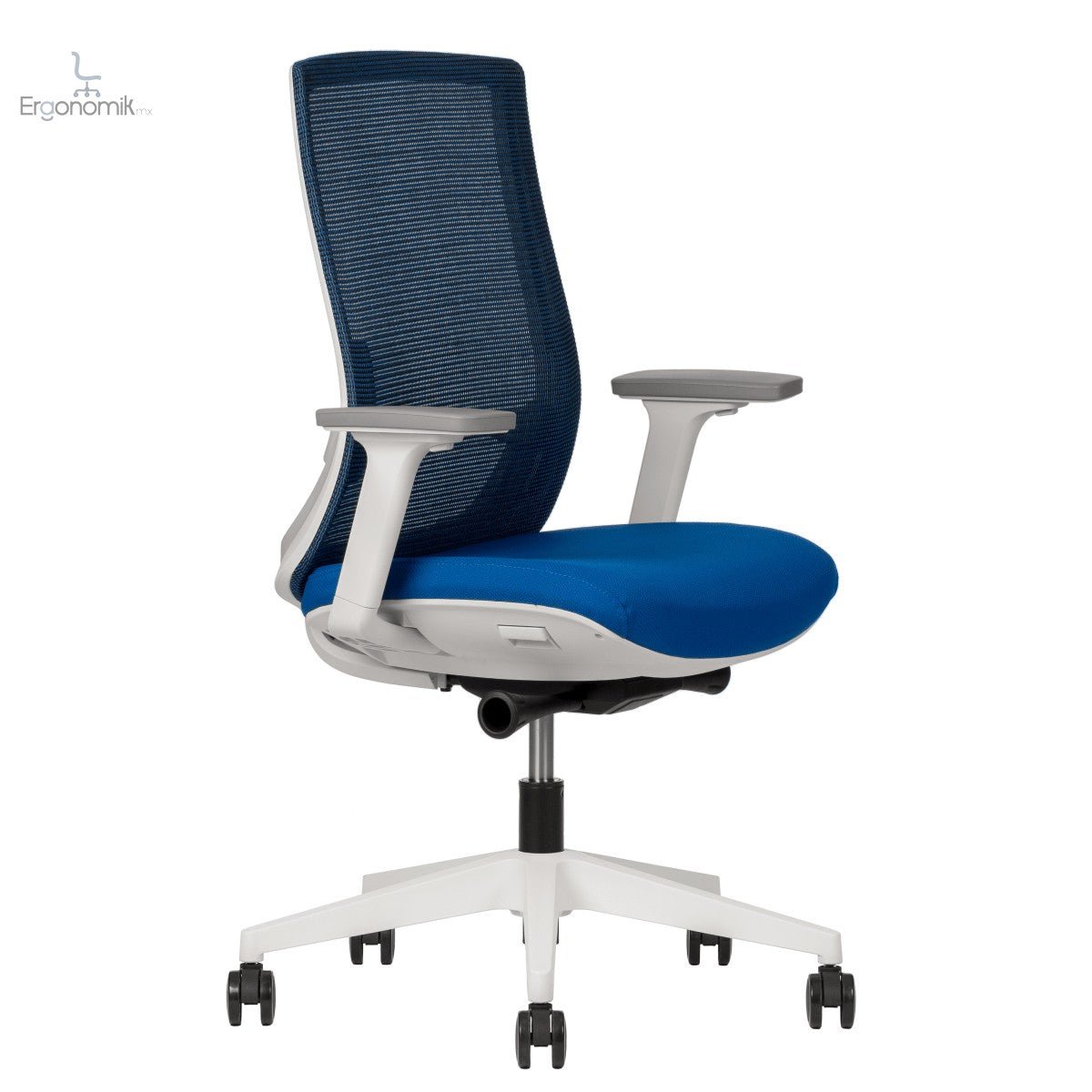 Silla Polar - Ergonomik silla ergonomica Office Class