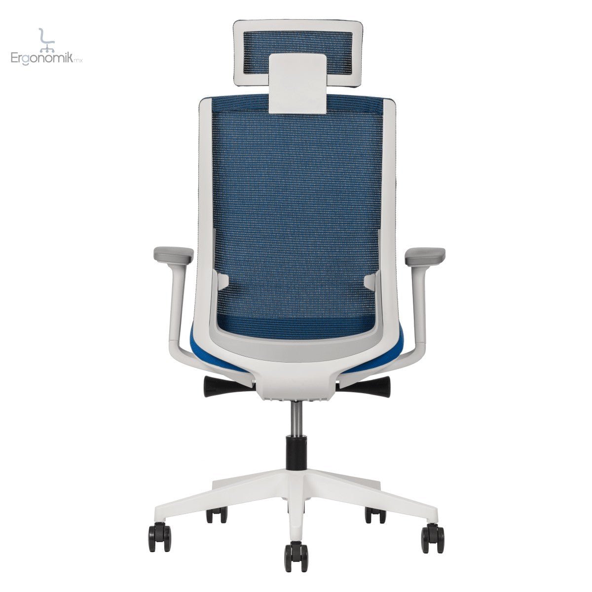Silla Polar - Ergonomik silla ergonomica Office Class