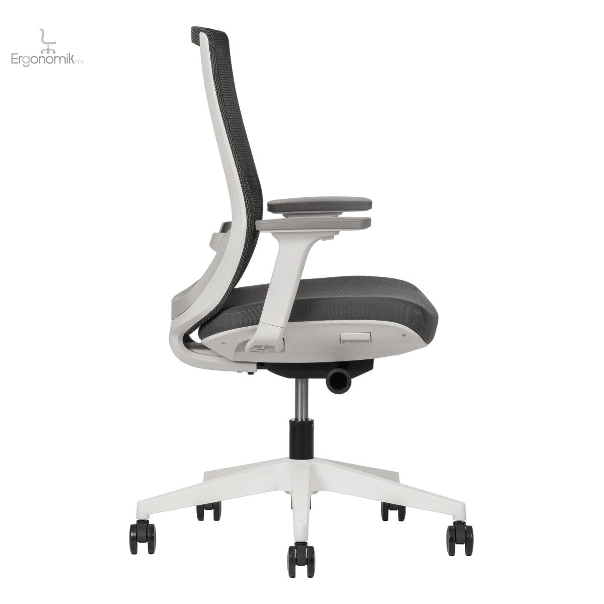 Silla Polar - Ergonomik silla ergonomica Office Class