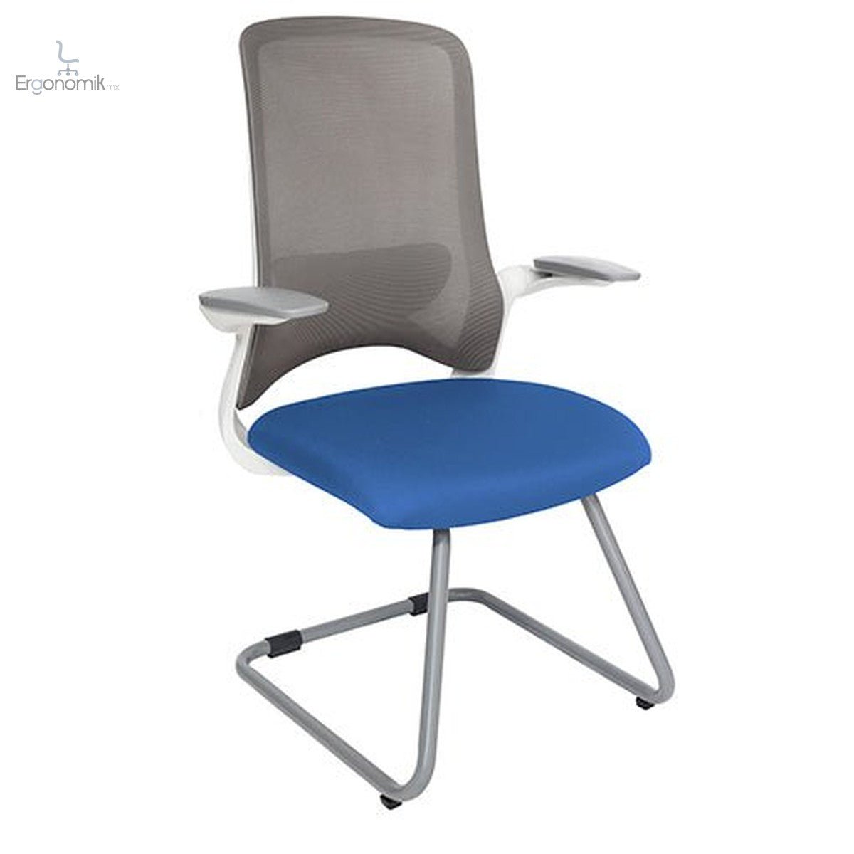 Silla Visita Dolphin - 2 piezas - Ergonomik silla de visita OFFIHO