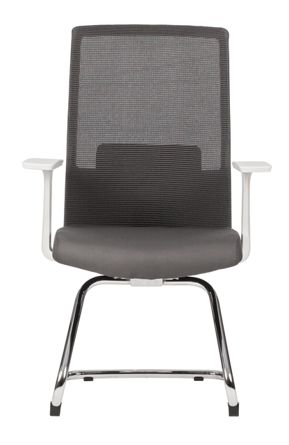 Silla Artic Visita