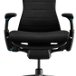 Embody - Herman Miller