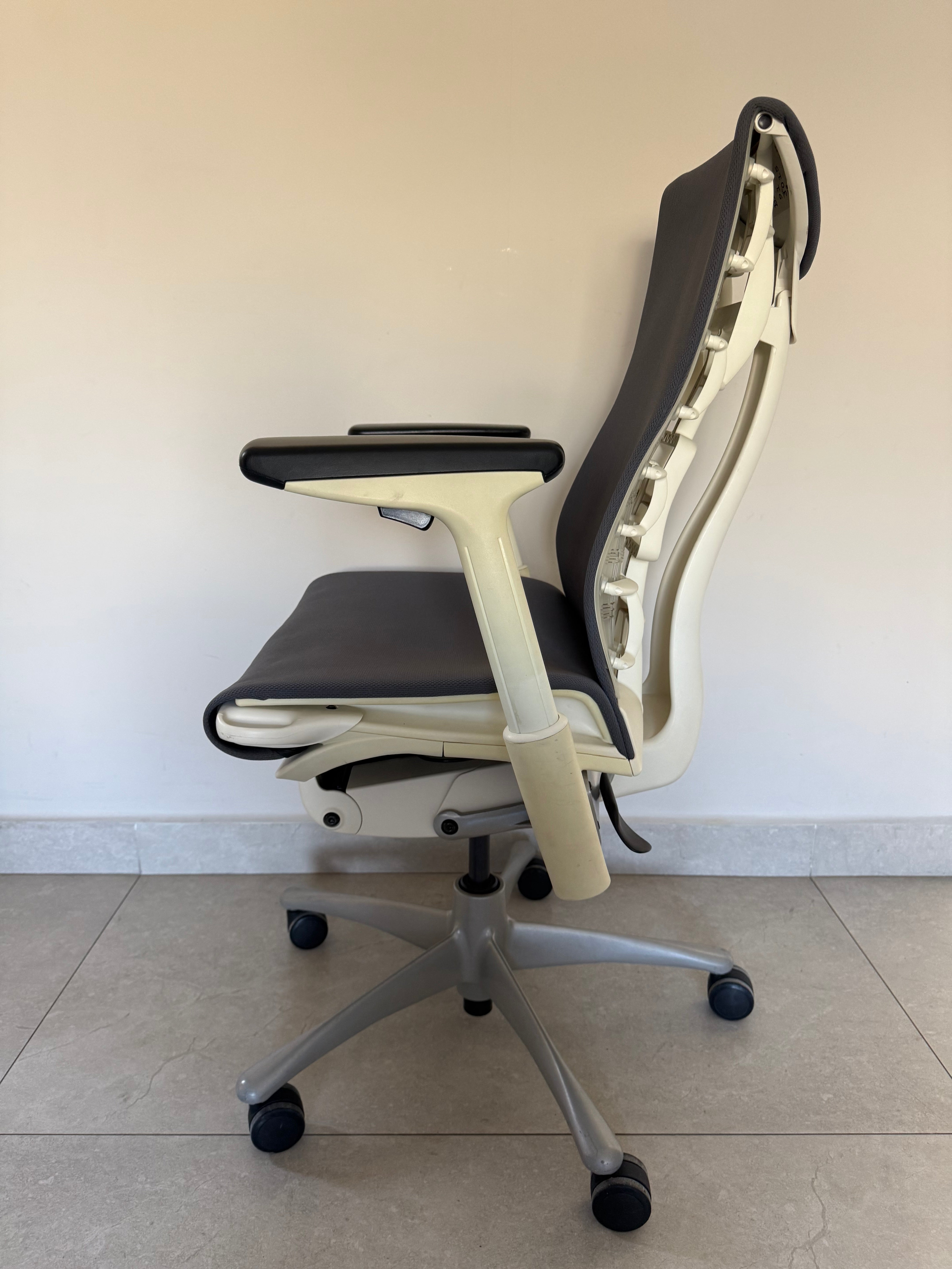 Embody Gris- Herman Miller Preowned