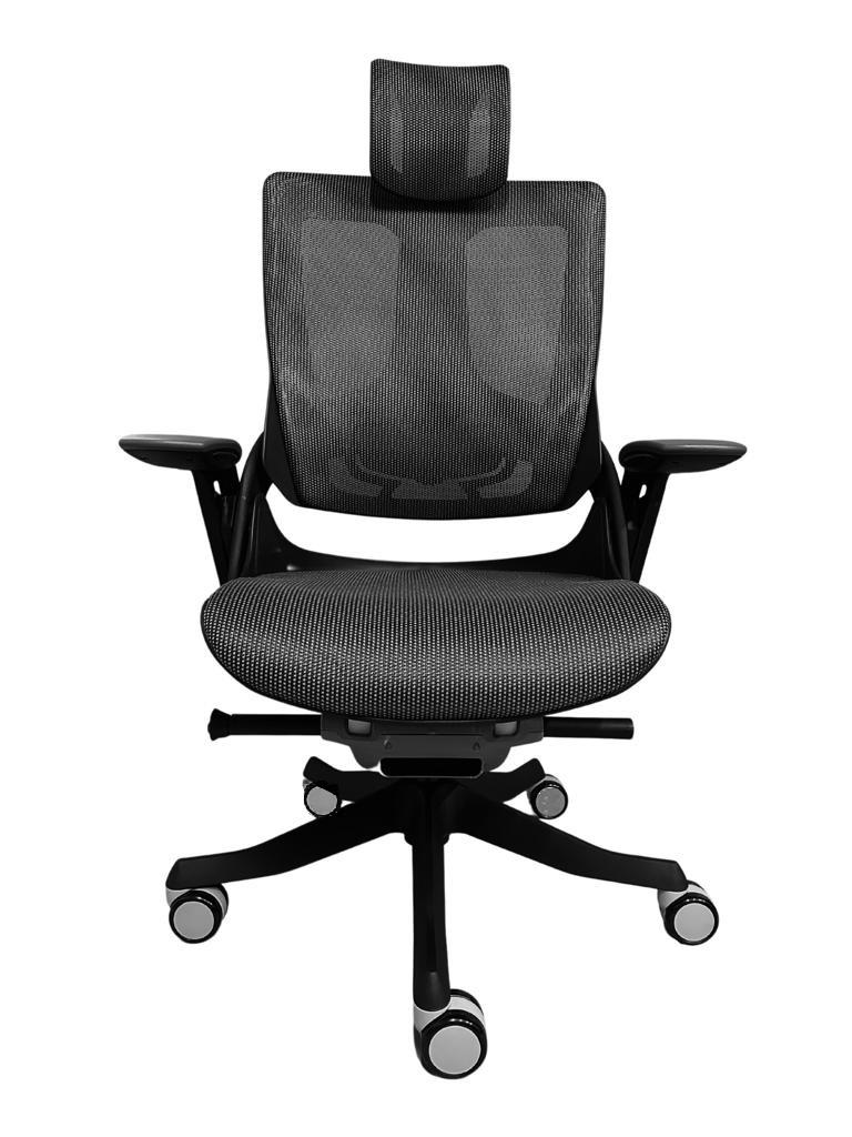 Silla Directiva Madagascar