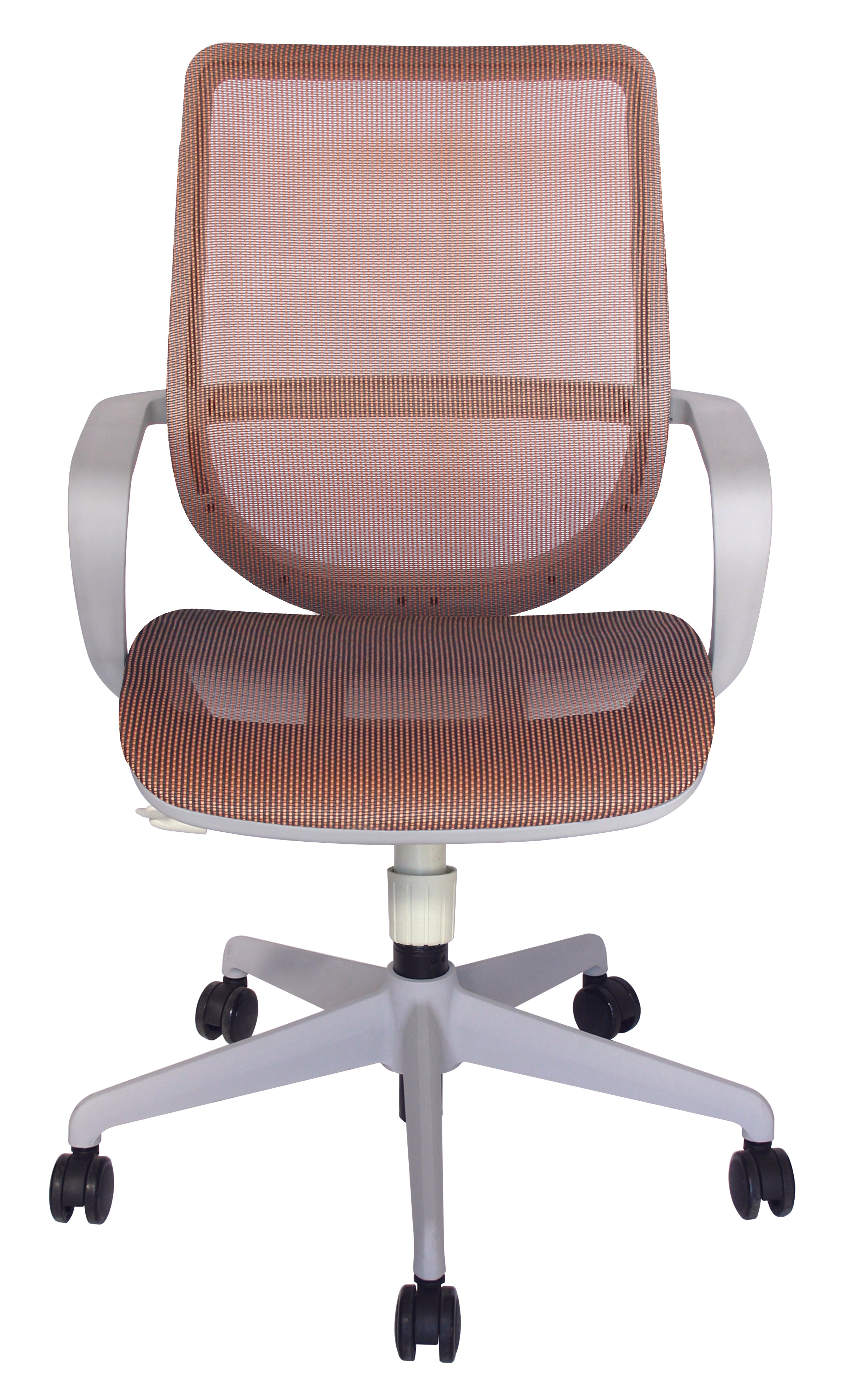 Silla Evolution
