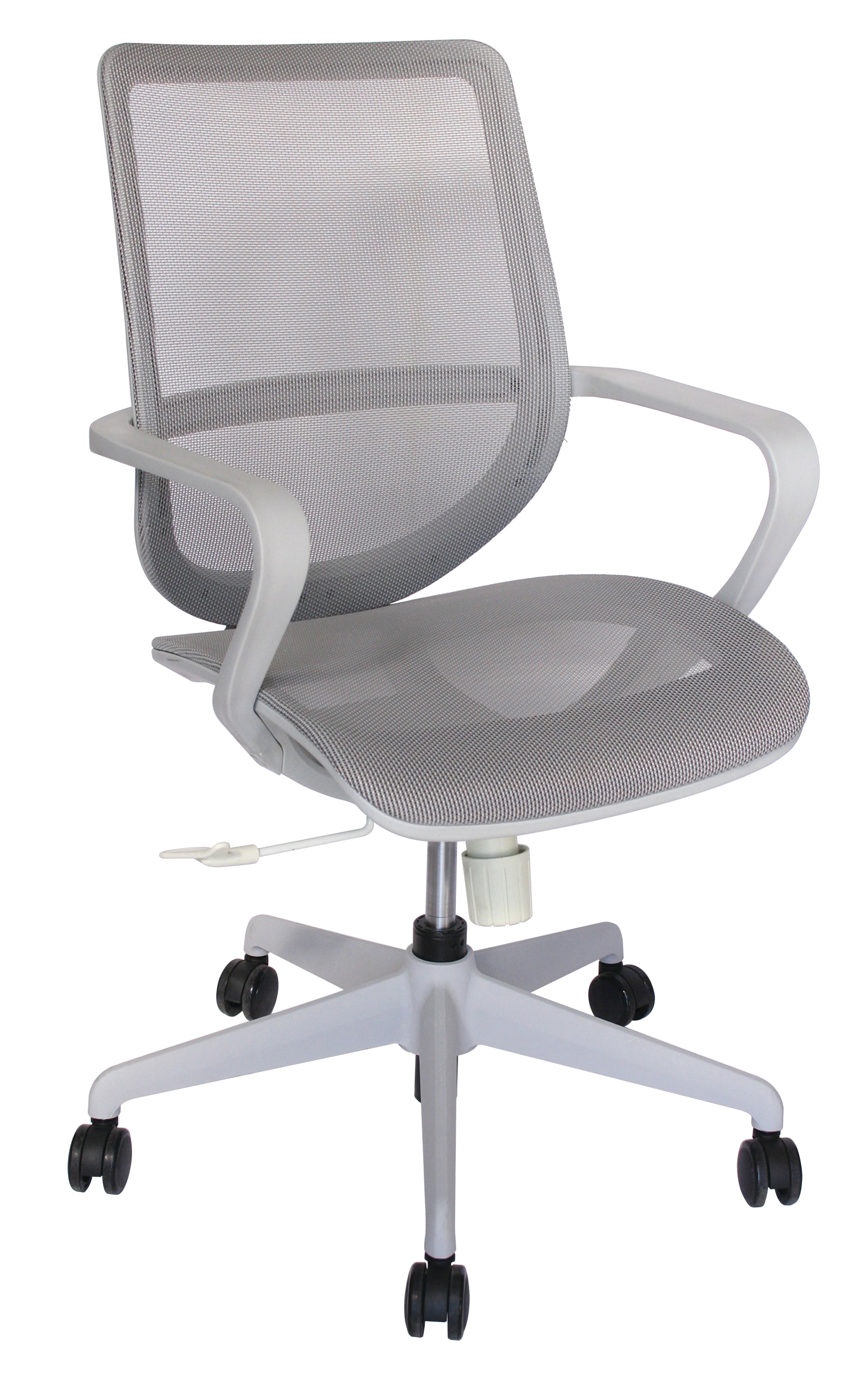 Silla Evolution