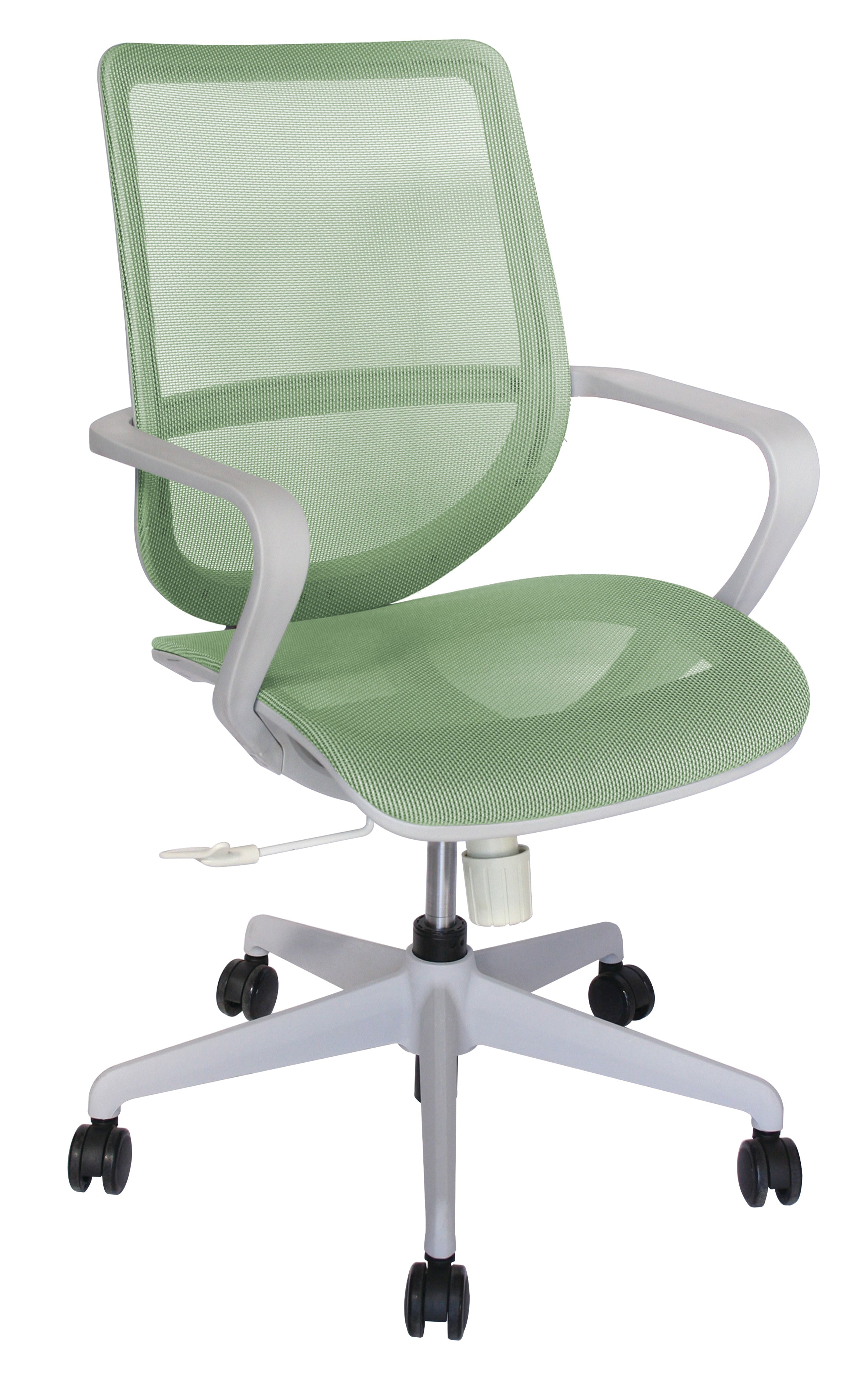 Silla Evolution