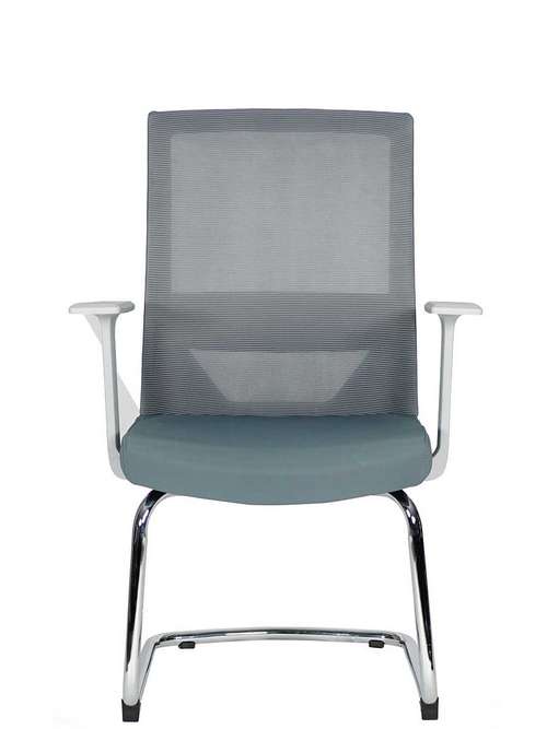 Silla Vision Visita
