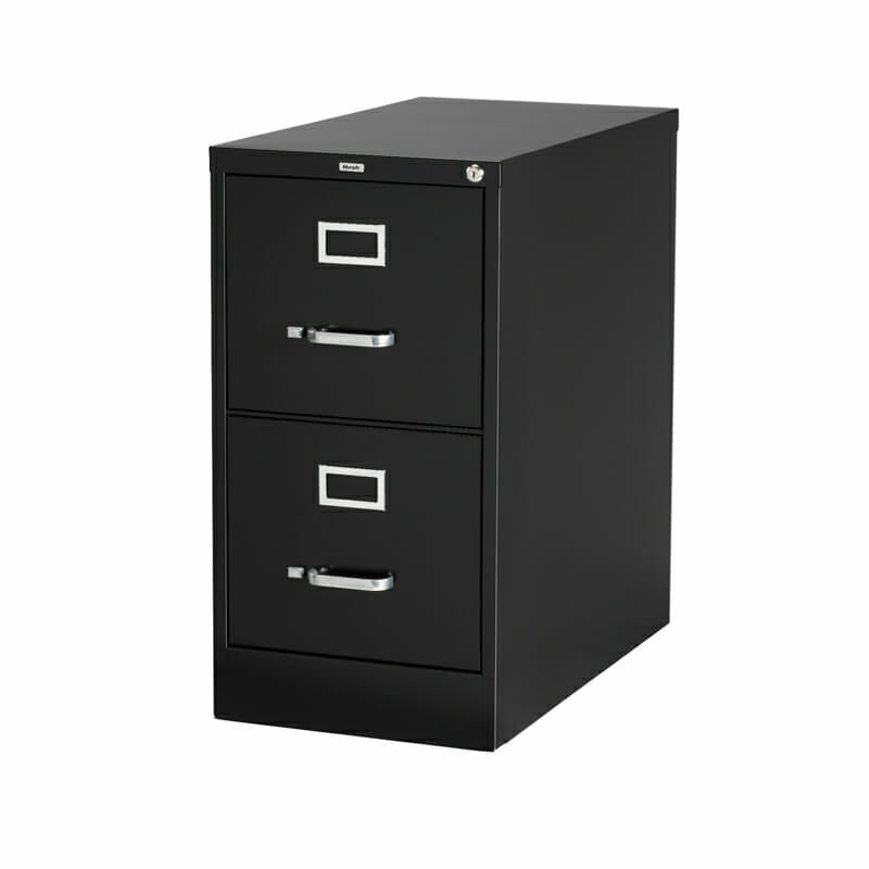 Archivero Metálico Vertical Tamaño Carta 2 Gavetas - Ergonomik Archiveros Ofik