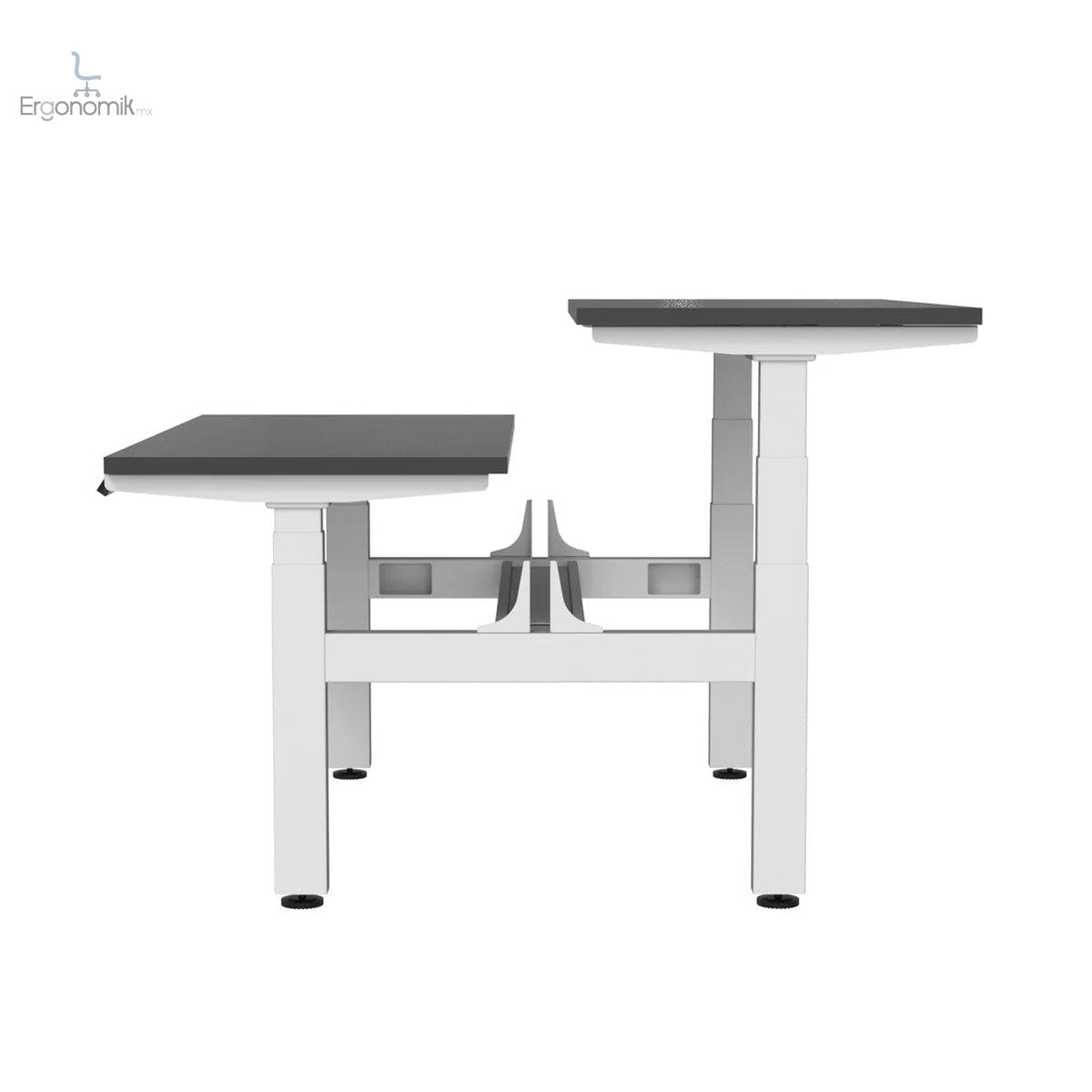 Escritorio de Altura Ajustable Eléctrico Doble - Ergonomik Ergonomik