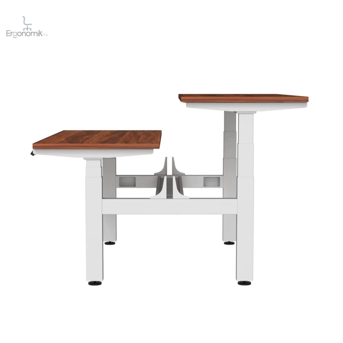 Escritorio de Altura Ajustable Eléctrico Doble - Ergonomik Ergonomik