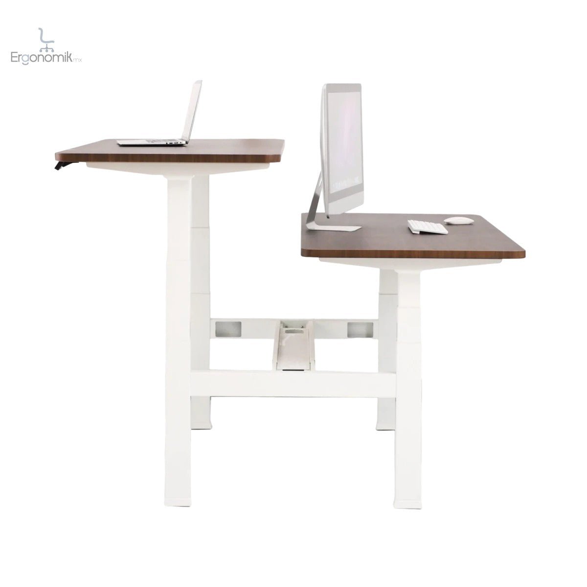 Escritorio de Altura Ajustable Eléctrico Doble - Ergonomik Ergonomik