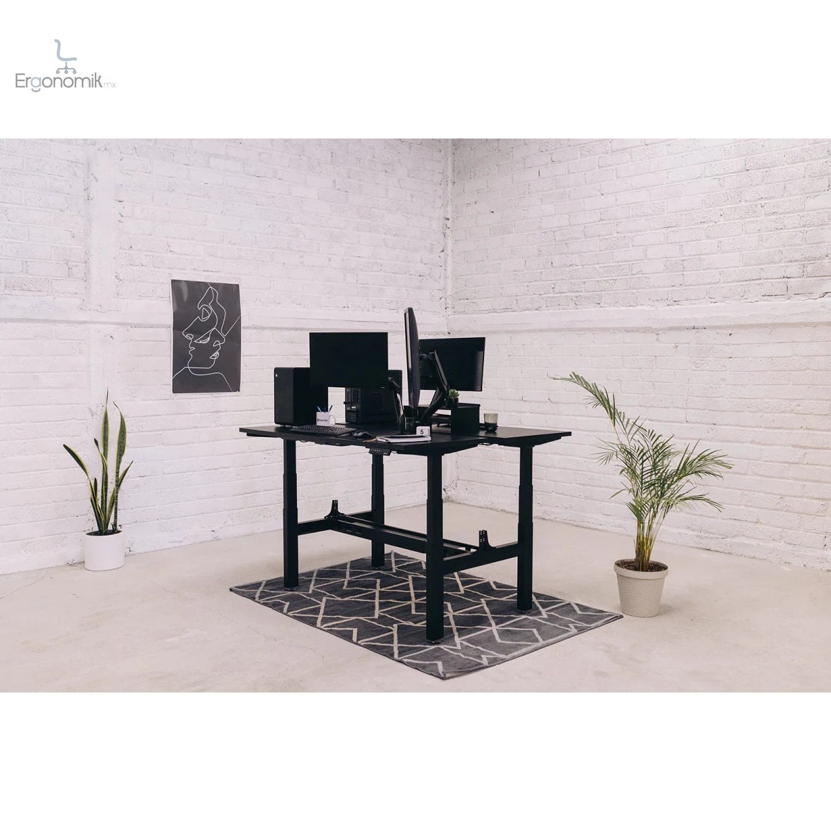 Escritorio de Altura Ajustable Eléctrico Doble - Ergonomik Ergonomik