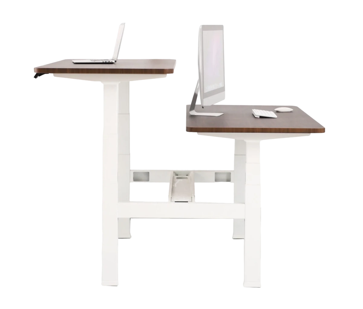Escritorio de Altura Ajustable Eléctrico Doble - Ergonomik Ergonomik
