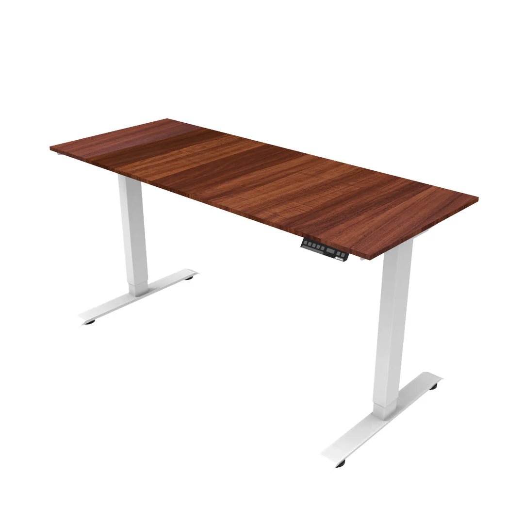 Escritorio de Altura Ajustable Eléctrico | Versión Estándar - Ergonomik Ergonomik