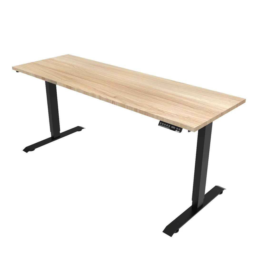 Escritorio de Altura Ajustable Eléctrico | Versión Estándar - Ergonomik Ergonomik