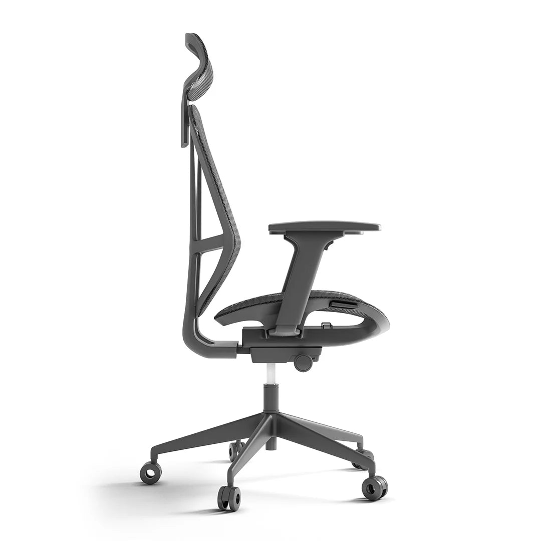 Respaldo ergonómico de la Silla Glove