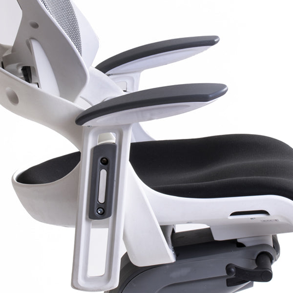 Silla Directiva Madagascar