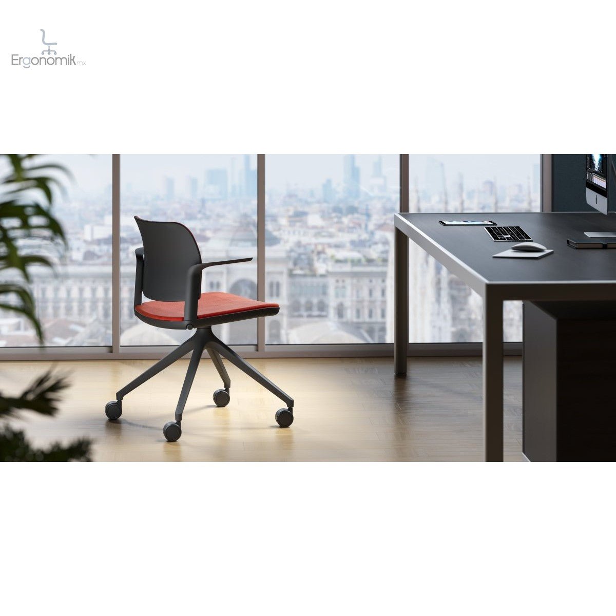 Silla Ciao Colores - Ergonomik silla operativa OFFIHO