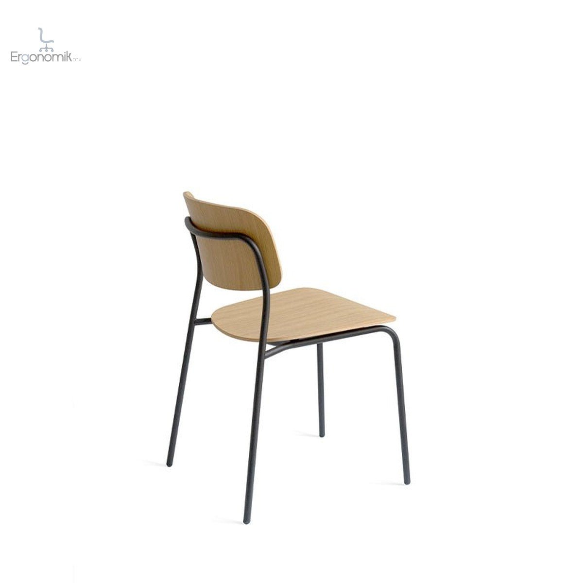 Silla Daily - Ergonomik silla de visita OFFIHO