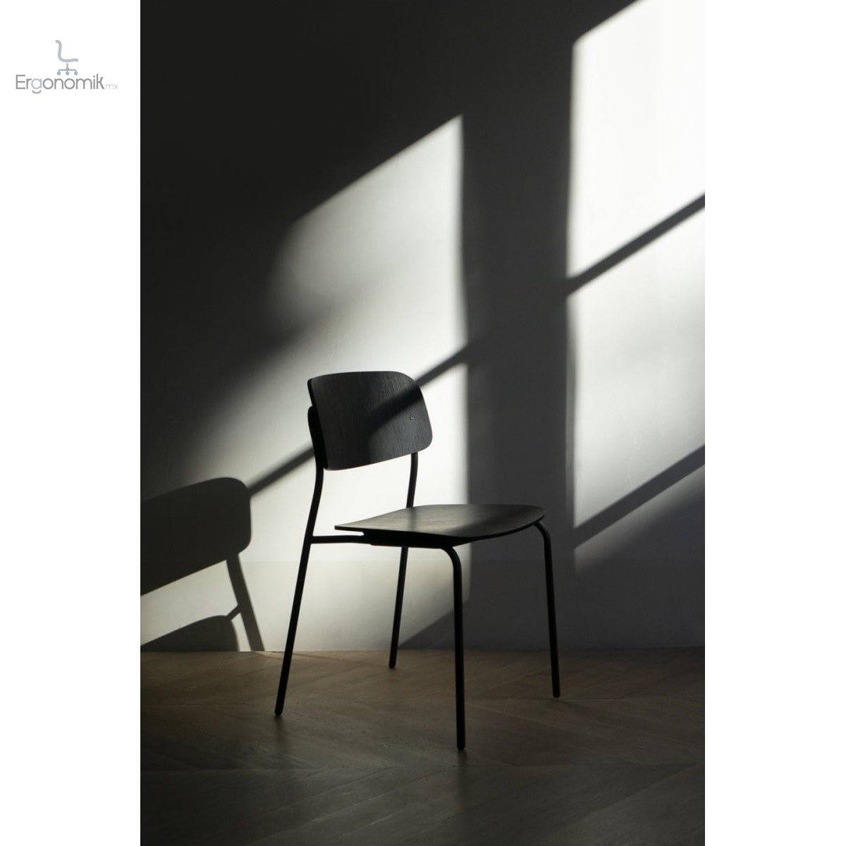 Silla Daily - Ergonomik silla de visita OFFIHO