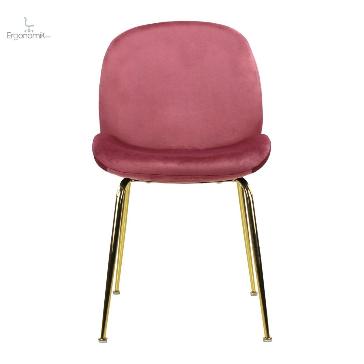 Silla de Visita Treviso - Ergonomik silla visita MBK