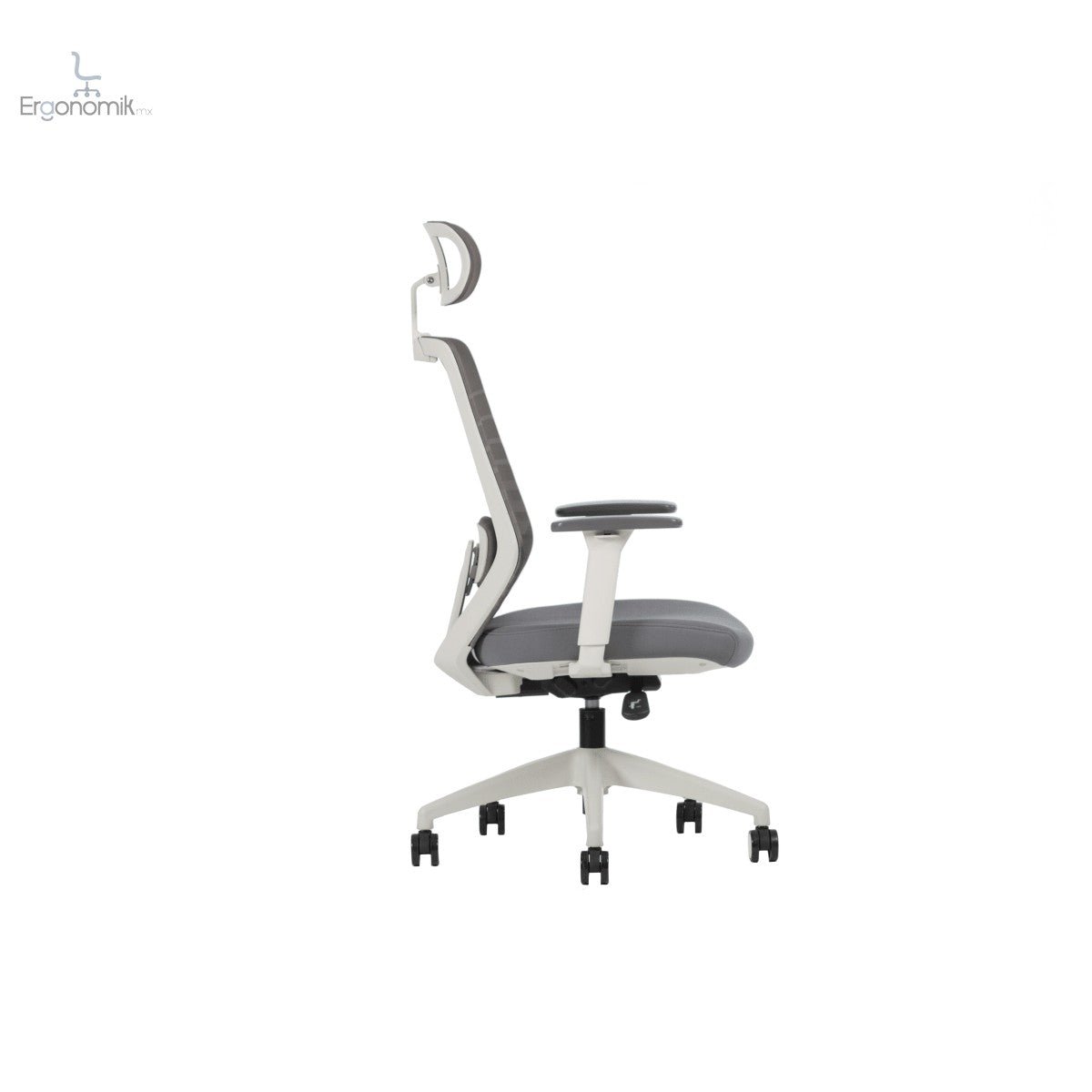 Silla Delta - Ergonomik silla ergonomica Office Class