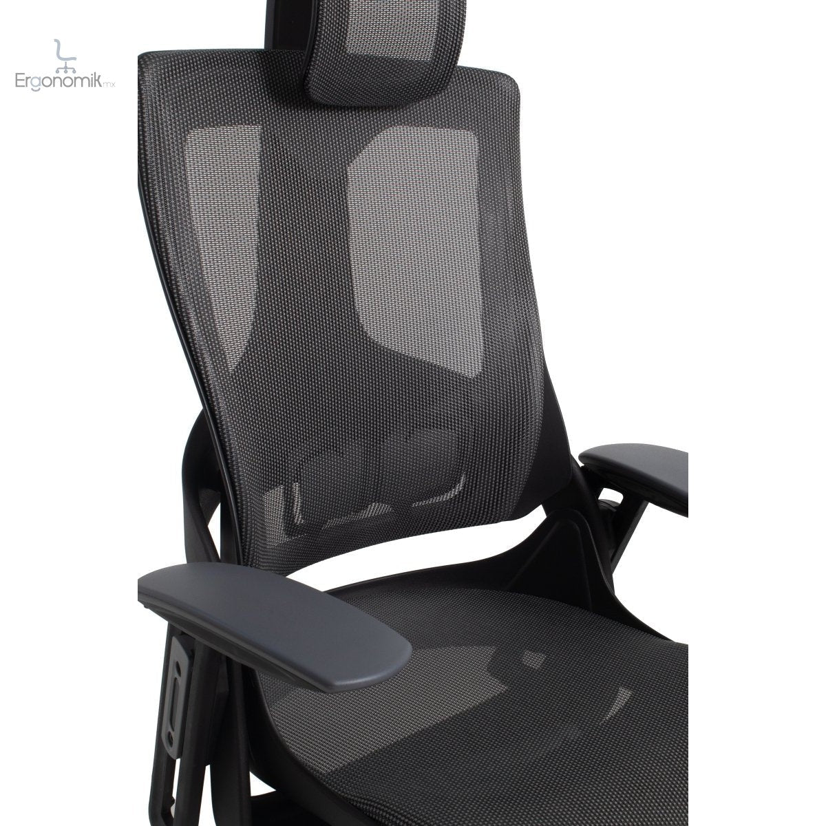 Silla Directiva Madagascar - Ergonomik silla directiva MEM