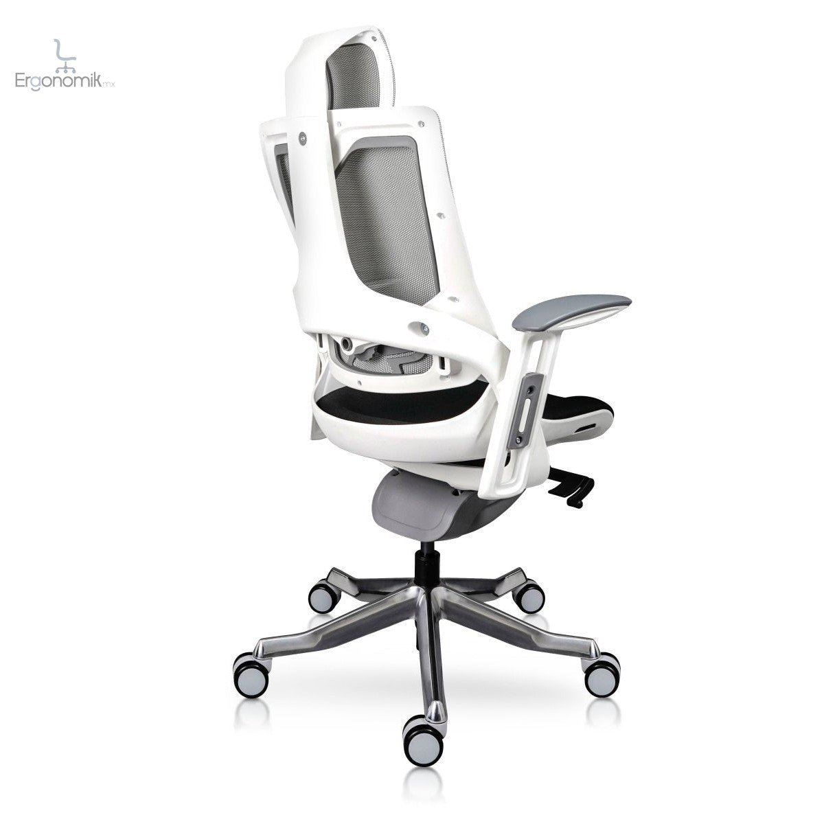 Silla Directiva Madagascar - Ergonomik silla directiva MEM